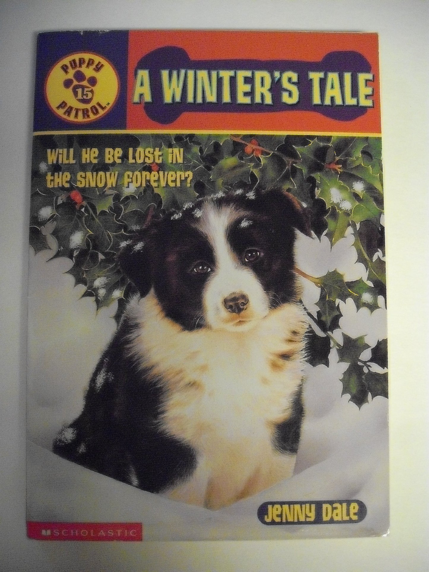 Winter's Tale book cover