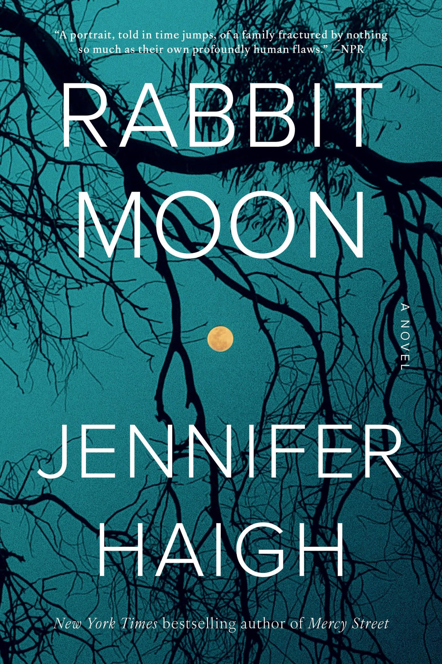 Rabbit Moon book cover