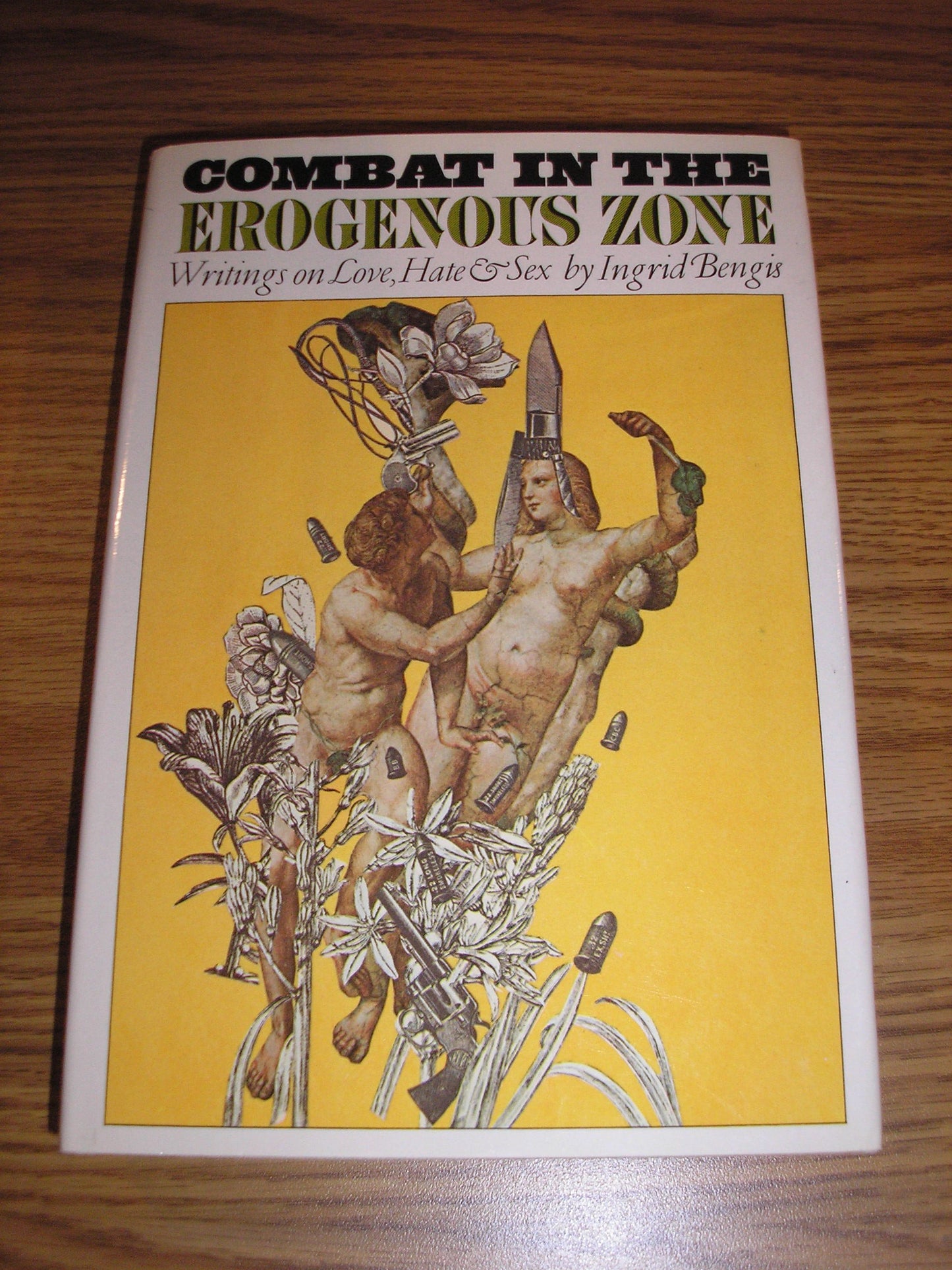 Combat in the Erogenous Zone book cover