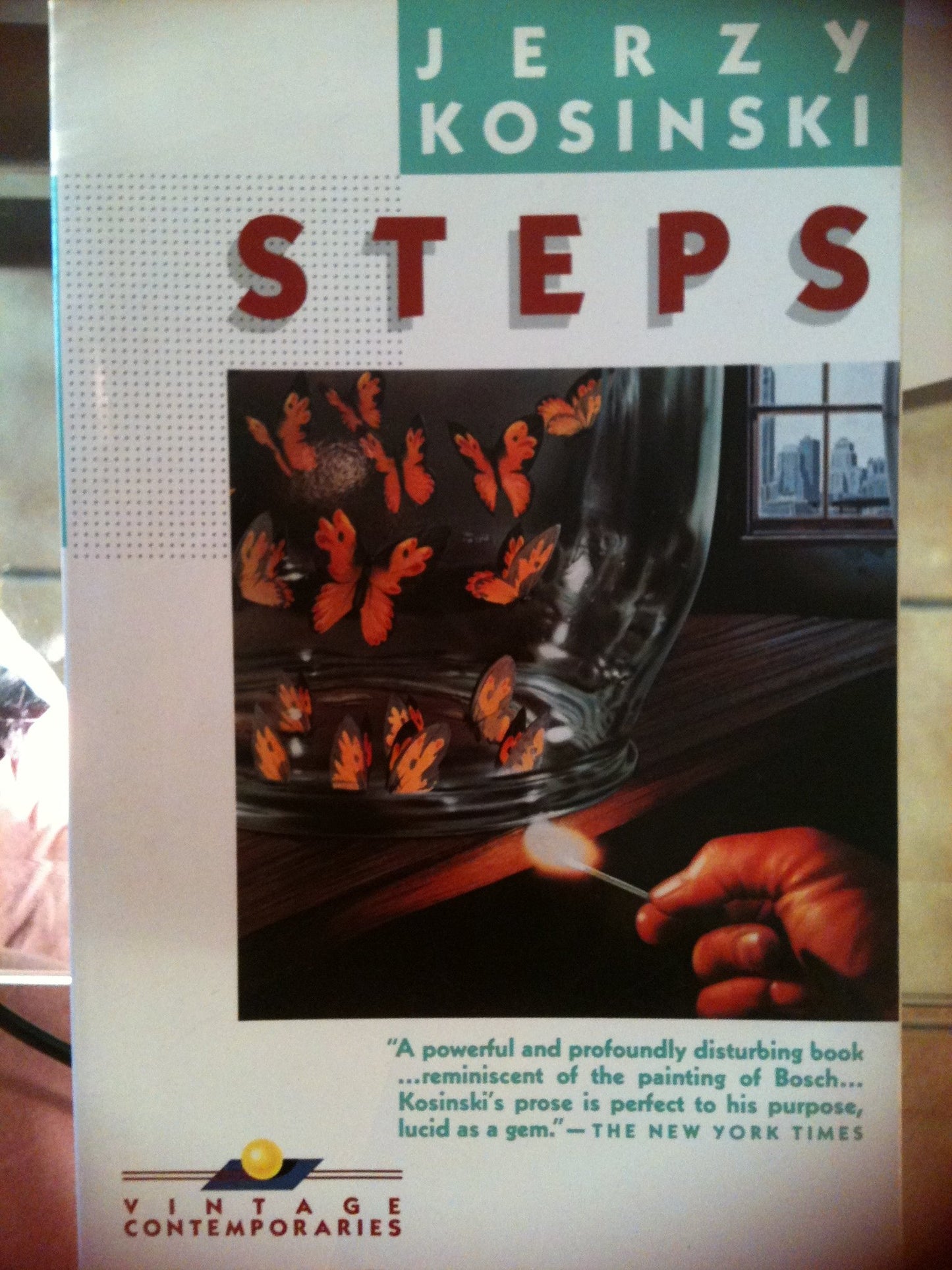 Steps book cover