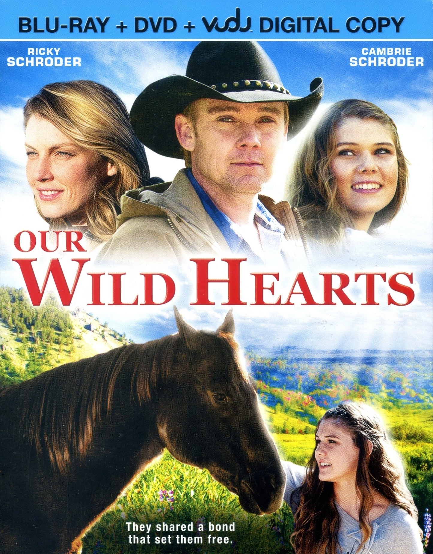 Our Wild Hearts book cover