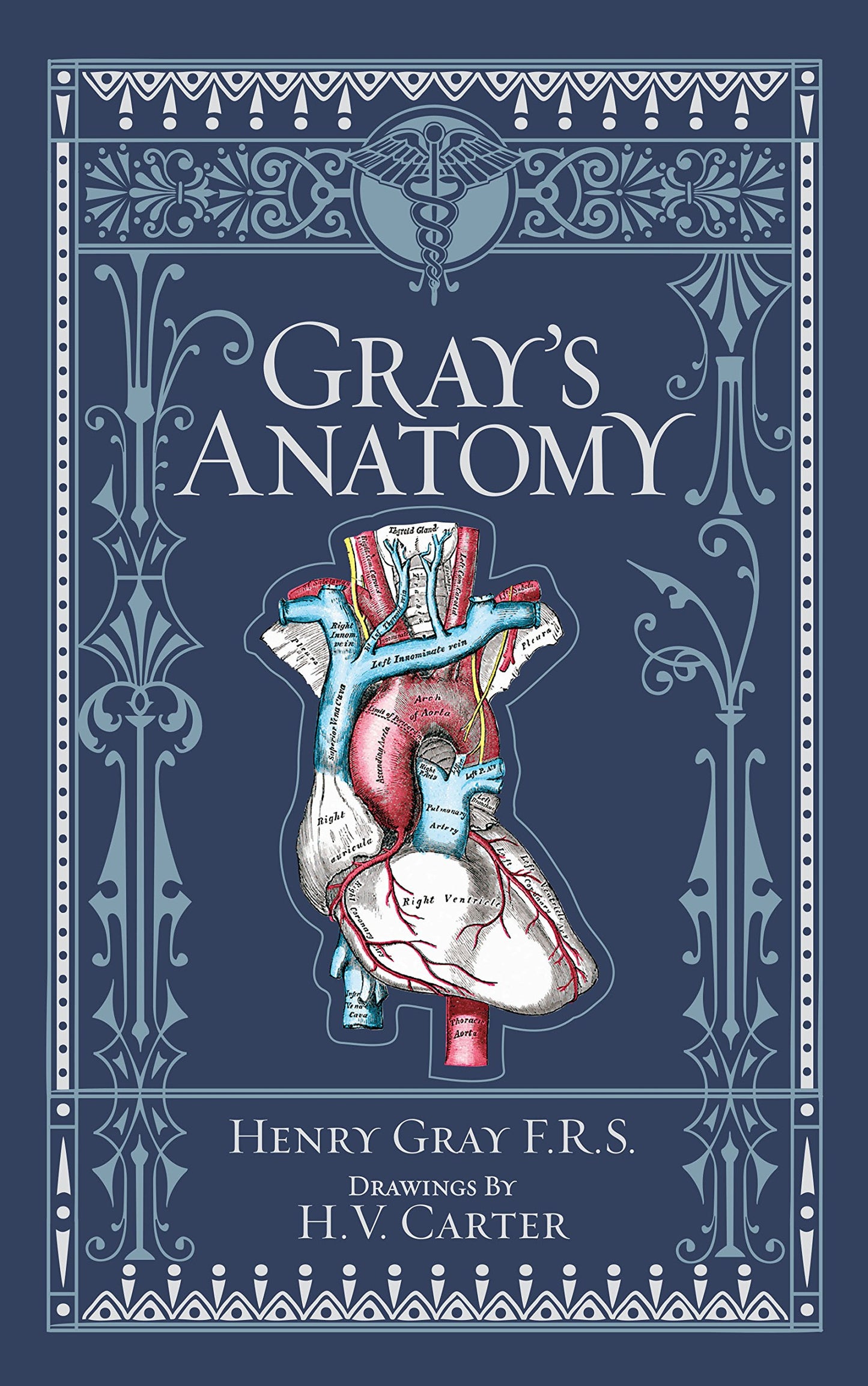 Gray's Anatomy book cover