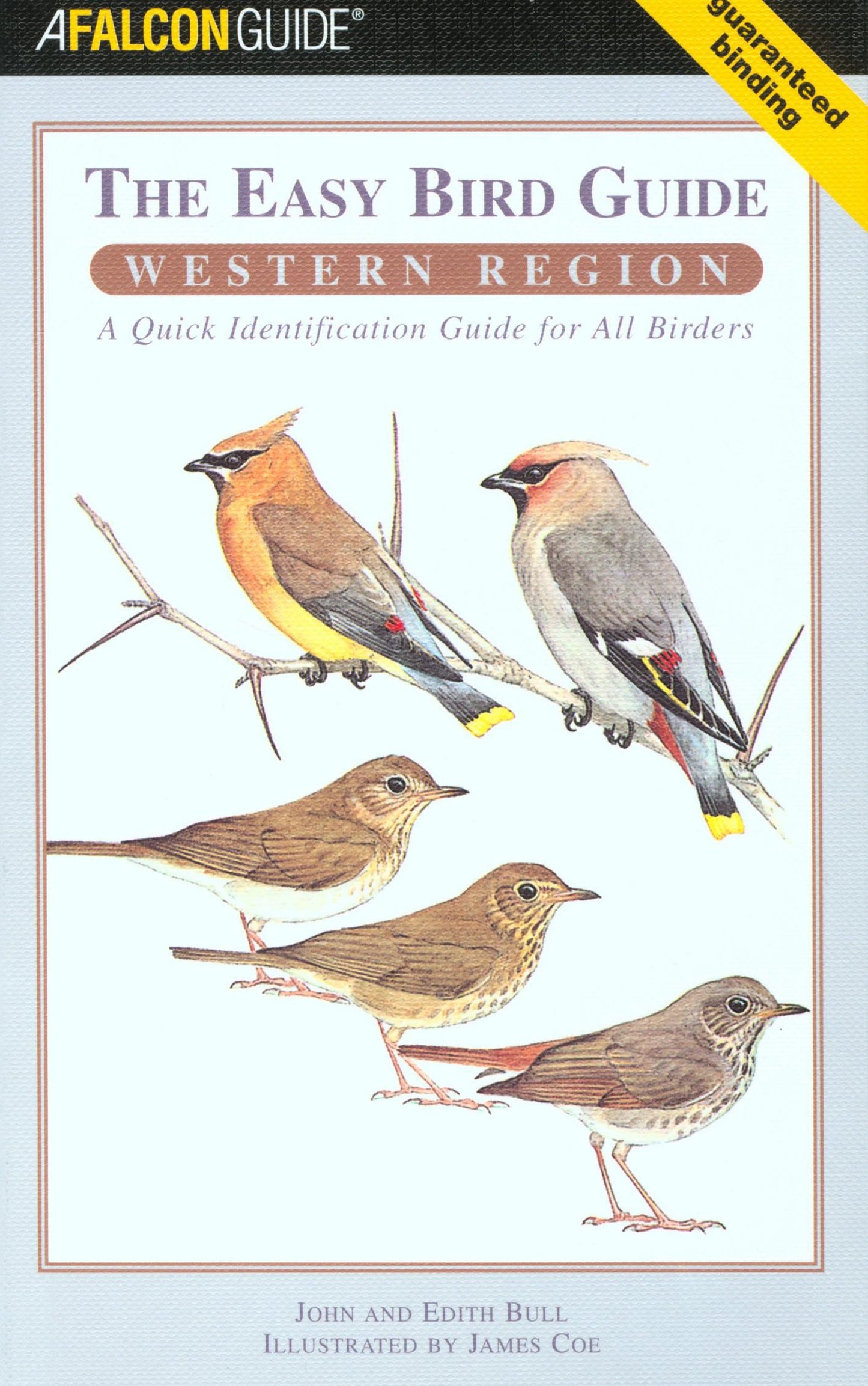 Easy Bird Guide: Western Region: A Quick Identification Guide for All Birders book cover