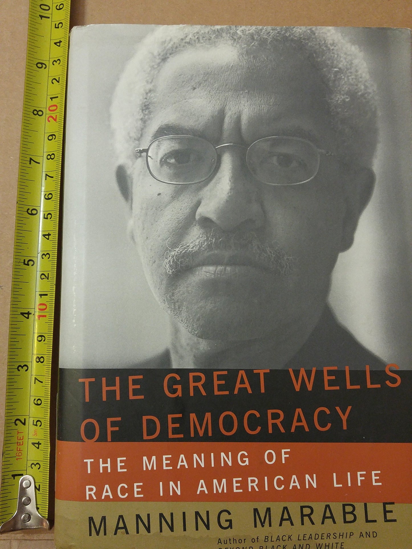 Great Wells of Democracy: The Meaning of Race in American Life book cover