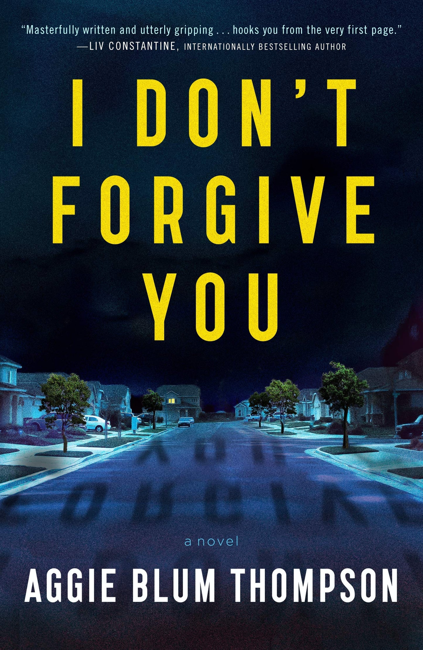 I Don't Forgive You book cover