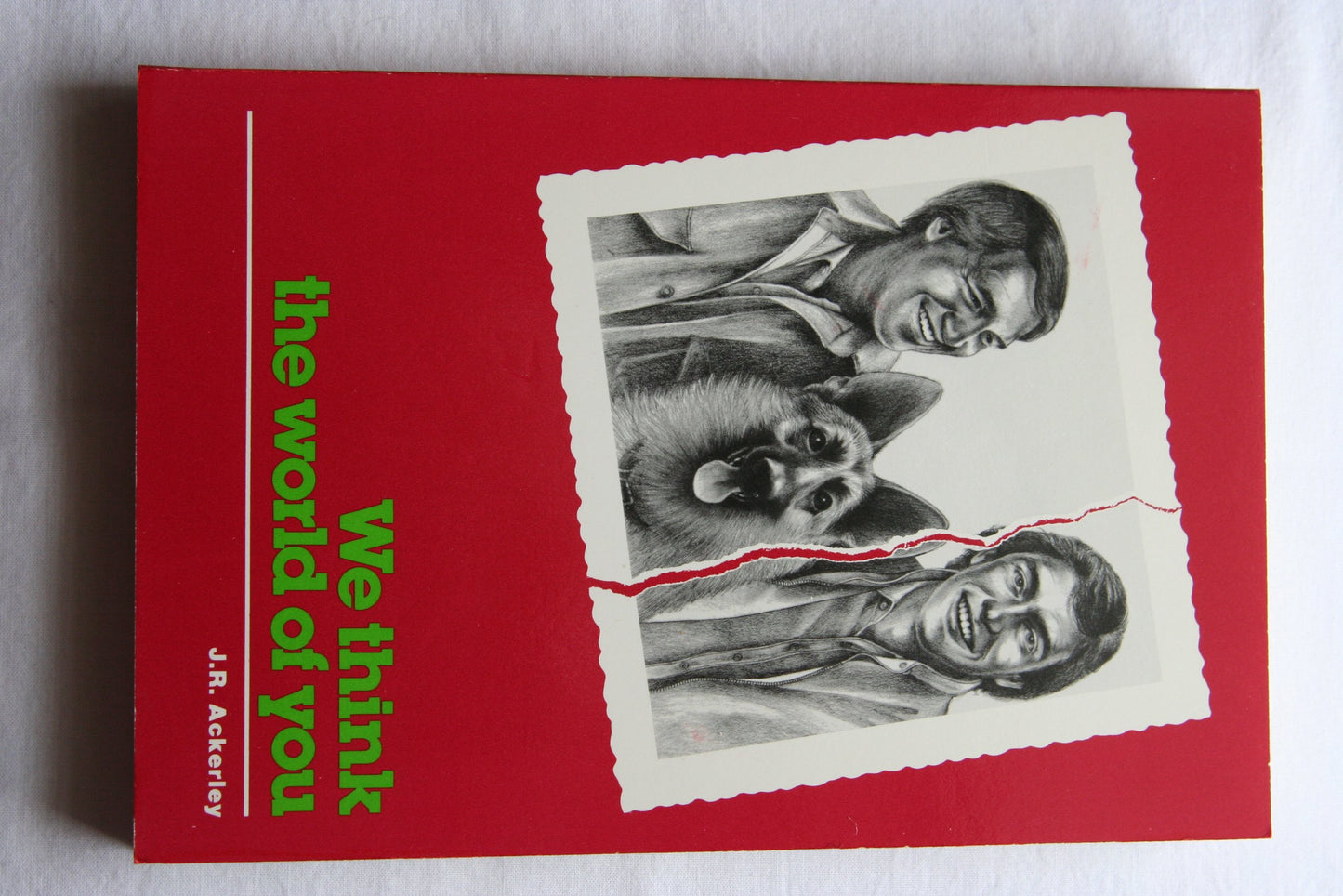 We Think the World of You book cover