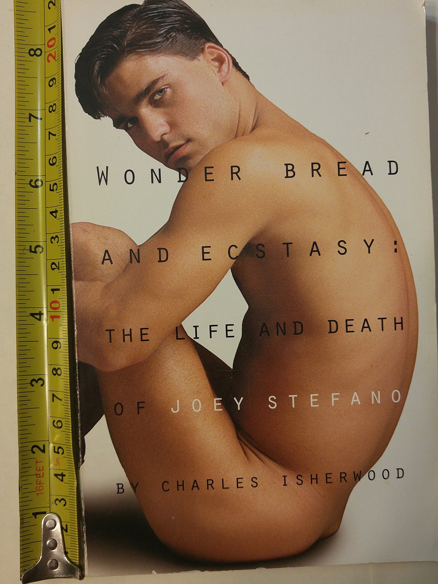Wonder Bread & Ecstasy: The Life and Death of Joey Stefano