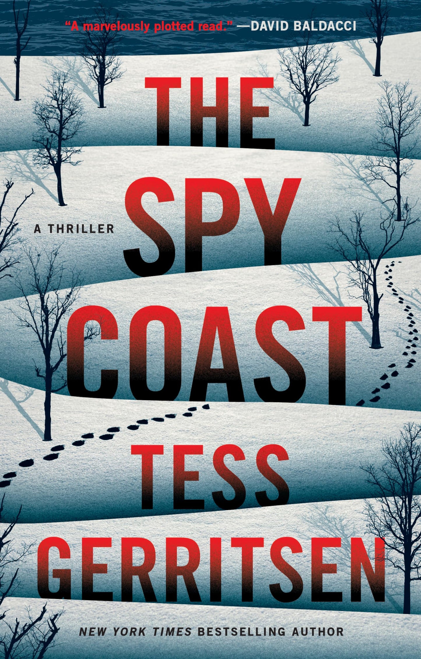 Spy Coast: A Thriller book cover