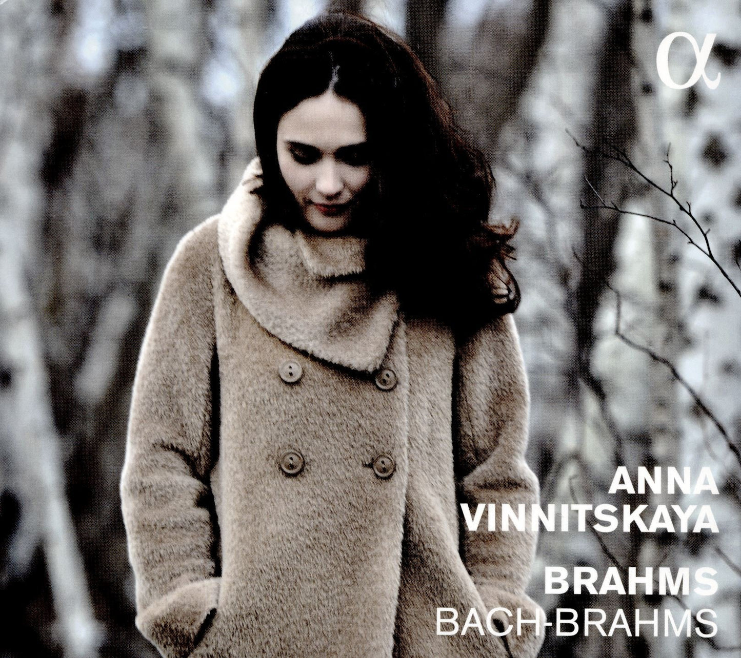 Bach - Brahms book cover