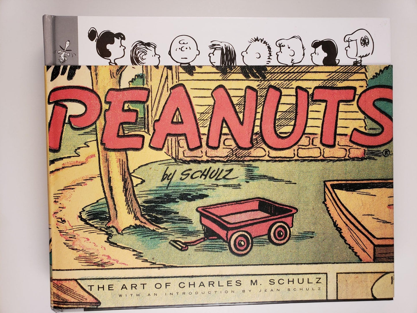 Peanuts book cover