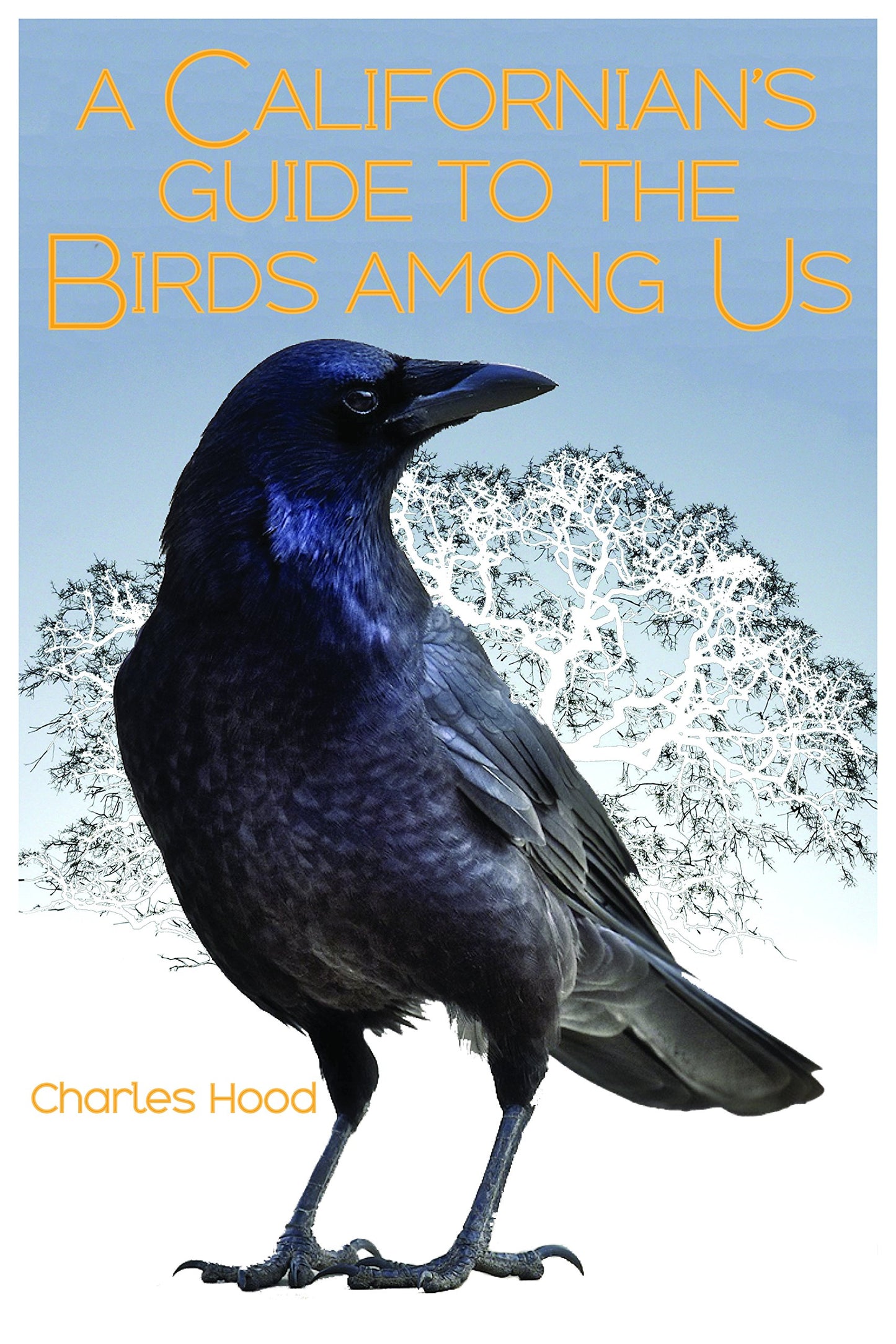 Californian's Guide to the Birds Among Us book cover