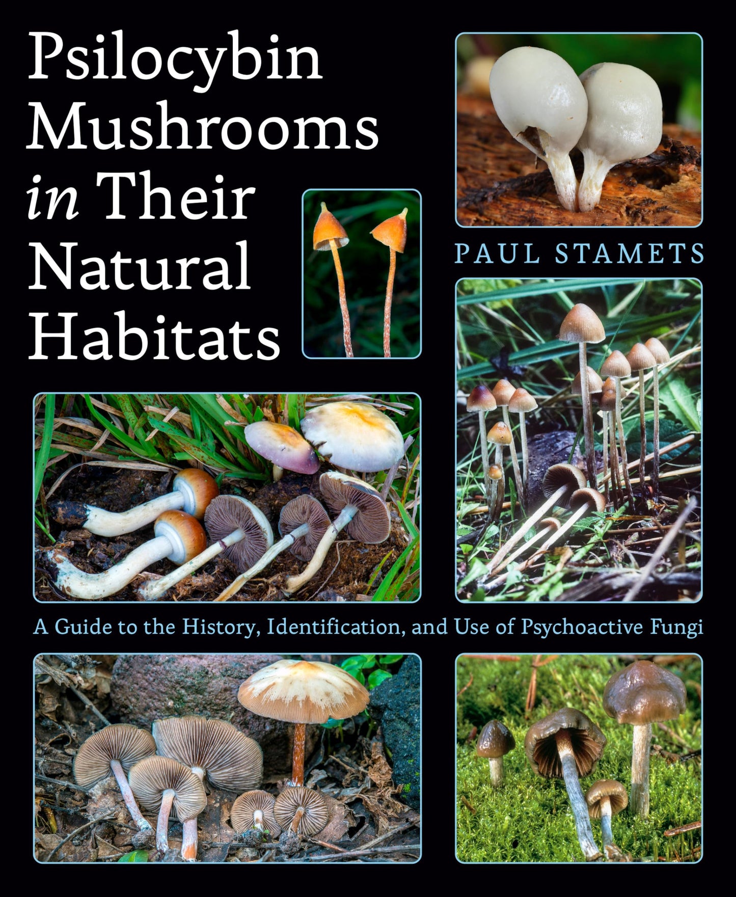 Psilocybin Mushrooms in Their Natural Habitats book cover