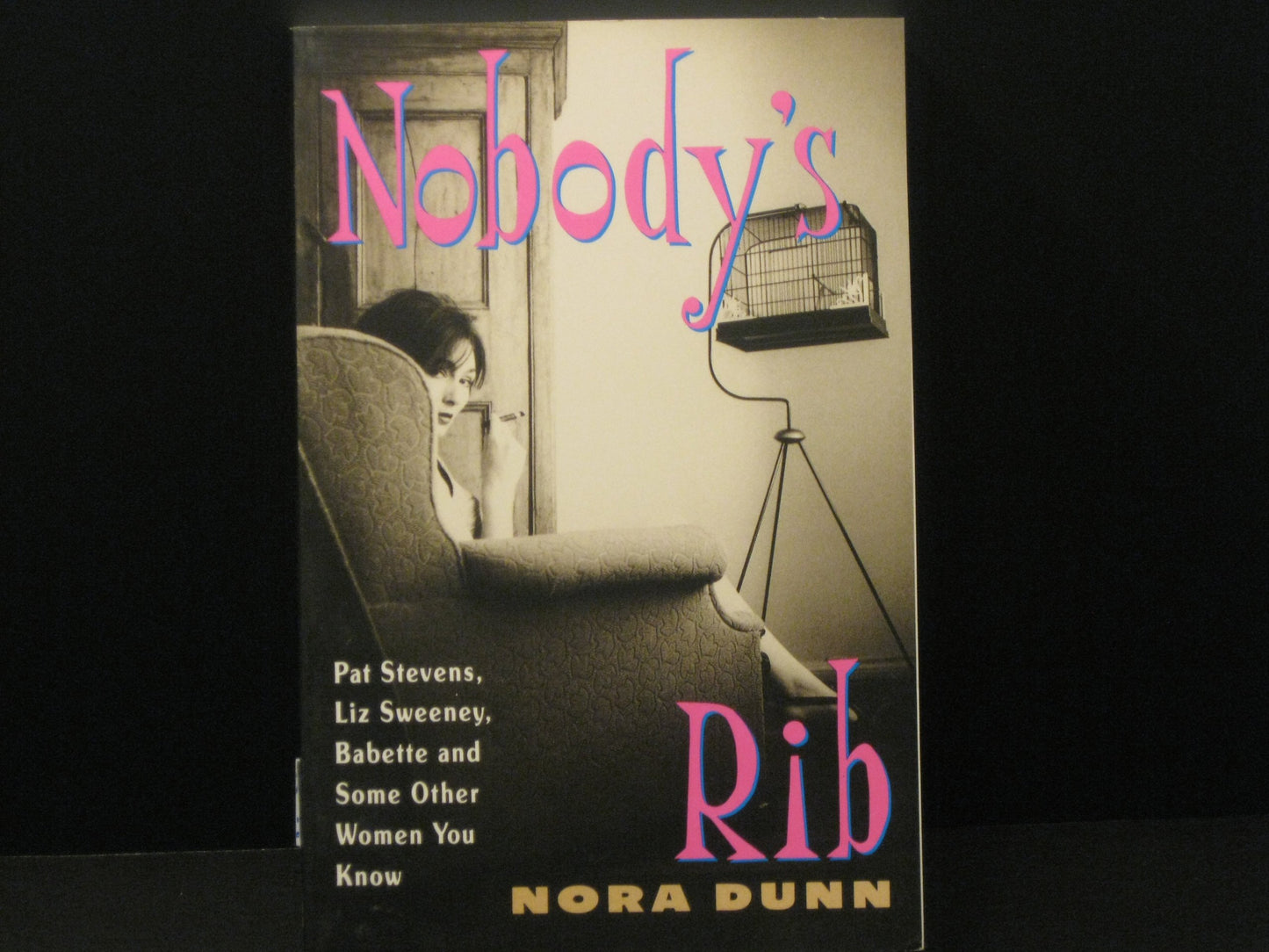 Nobody's Rib: Pat Stevens, Liz Sweeney, Babette, and Some Other Women You Know book cover