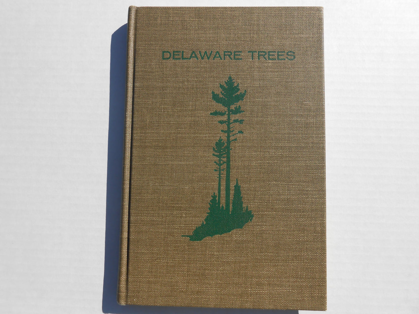 Delaware Trees: A Guide to the Identification of the Native Tree Species book cover