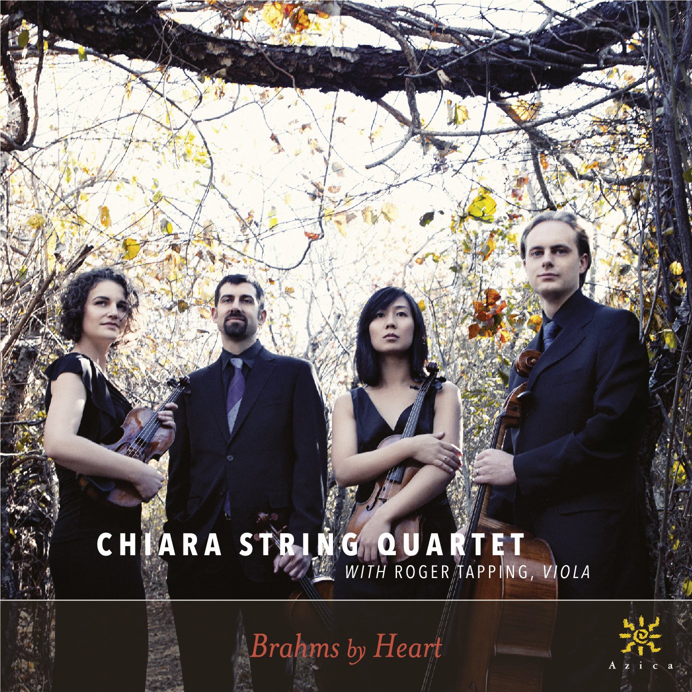 Brahms by Heart book cover