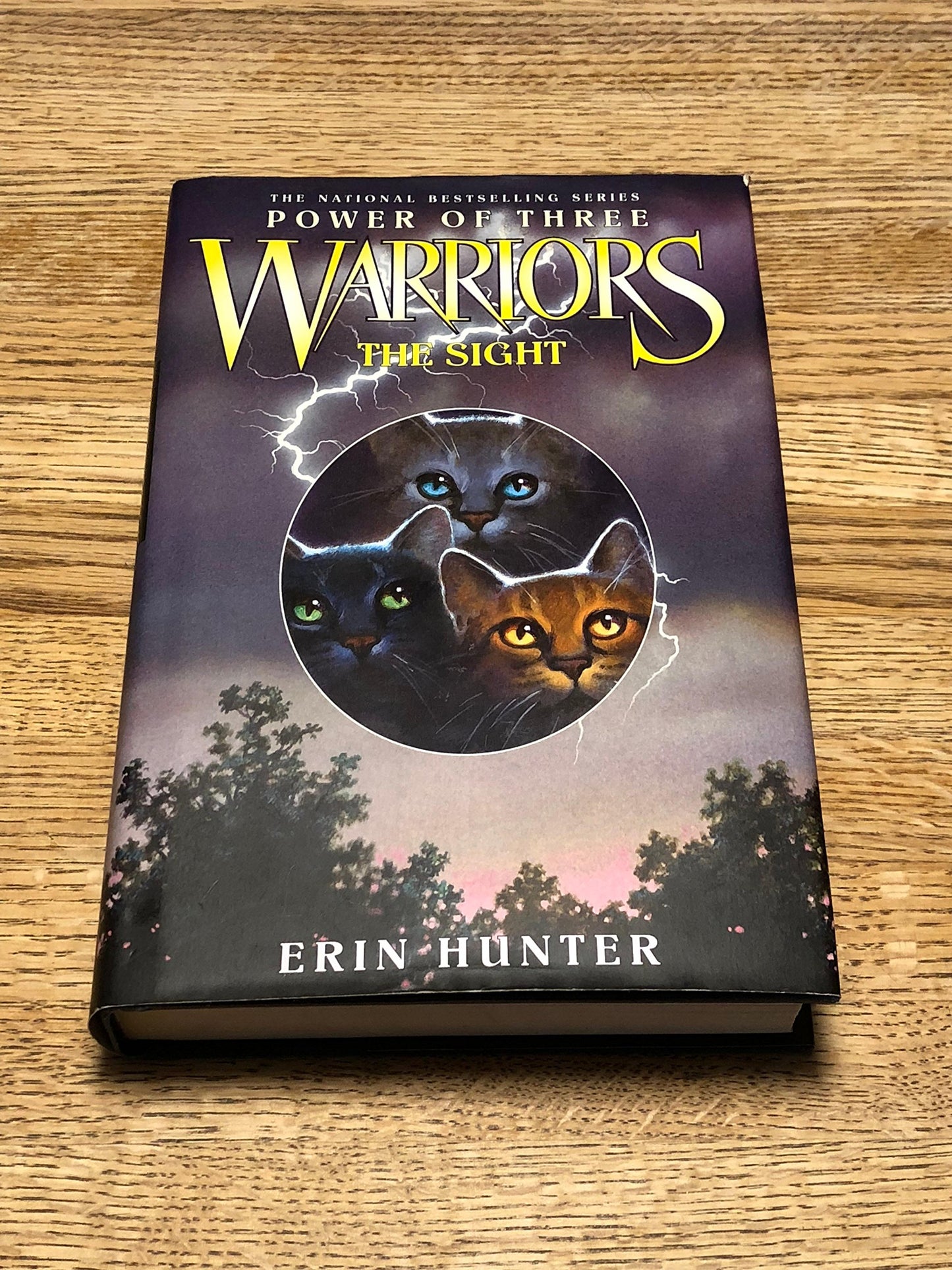 Warriors: Power of Three #1: The Sight book cover