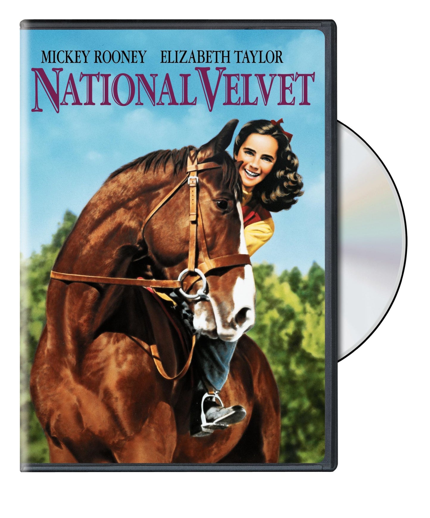National Velvet book cover