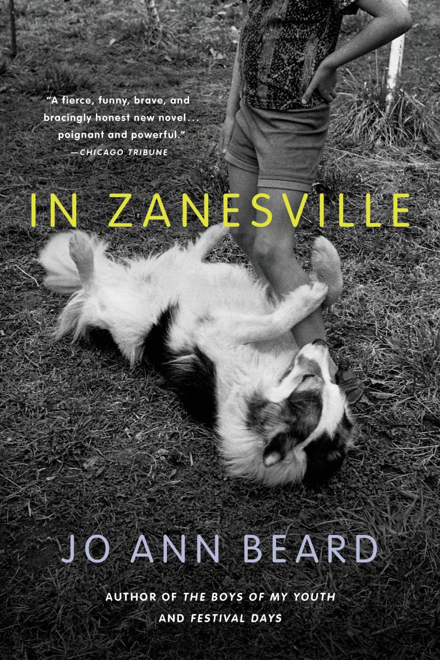In Zanesville book cover