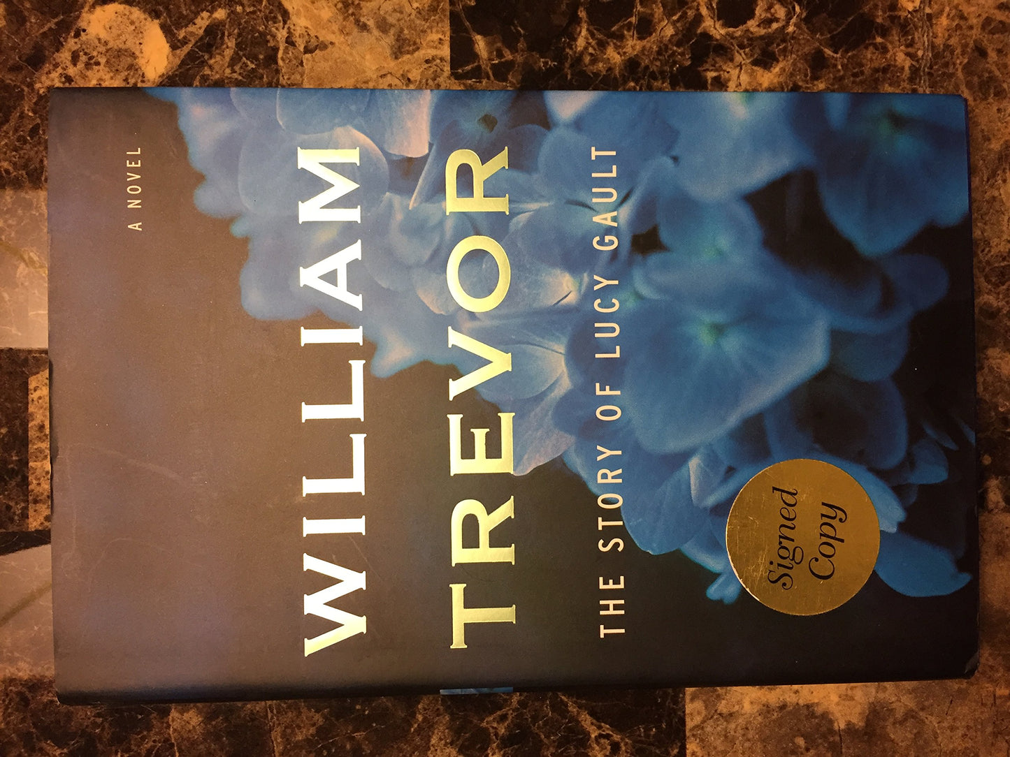 Story of Lucy Gault book cover