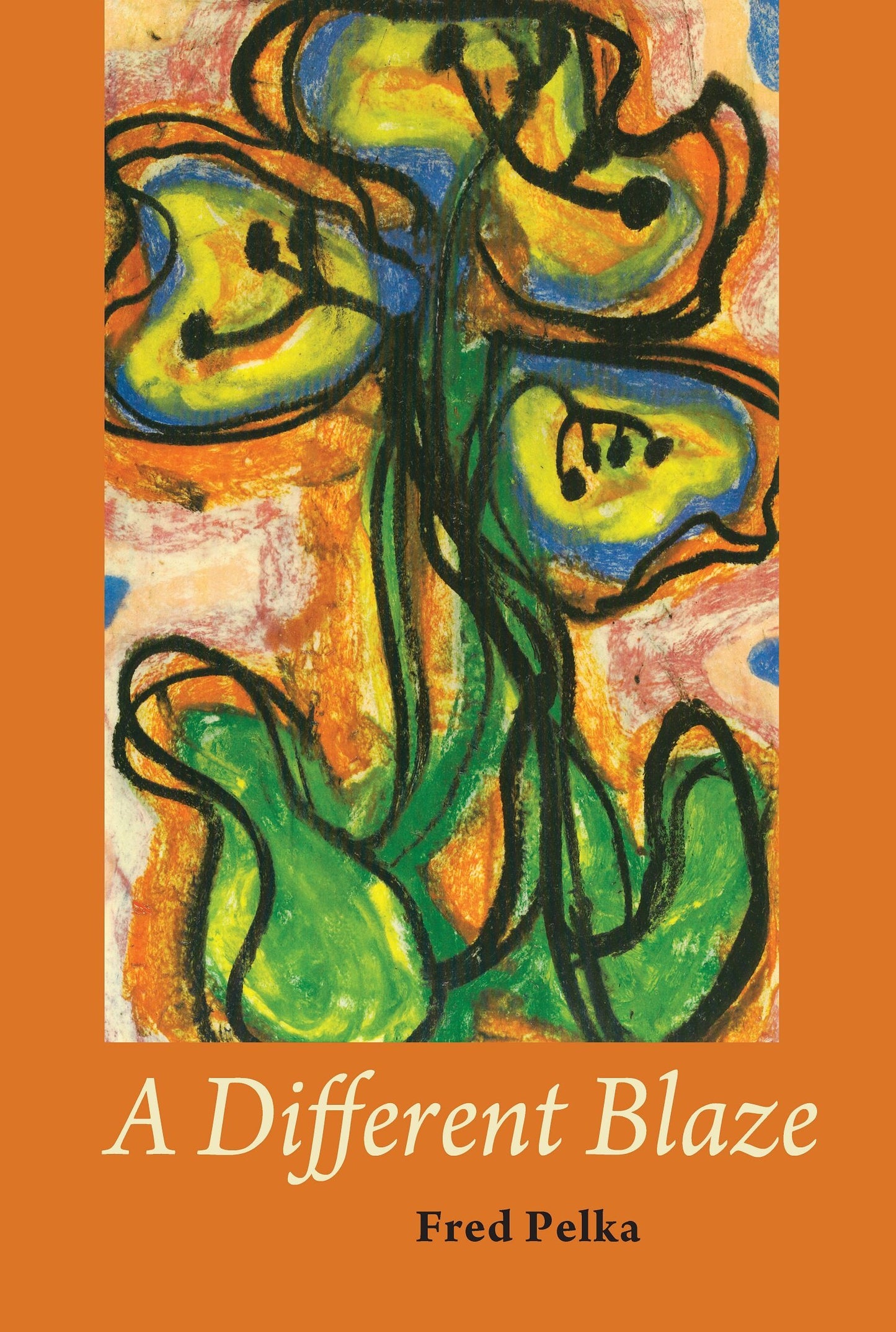 A Different Blaze book cover