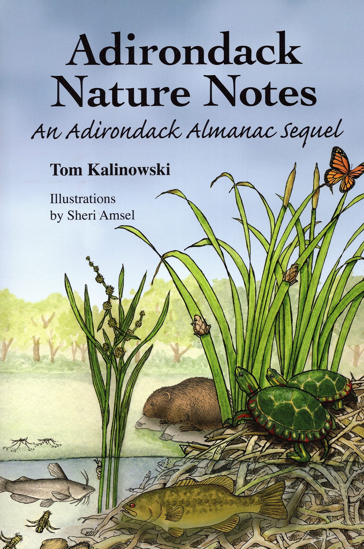 Adirondack Nature Notes: An Adirondack Almanac Sequel book cover
