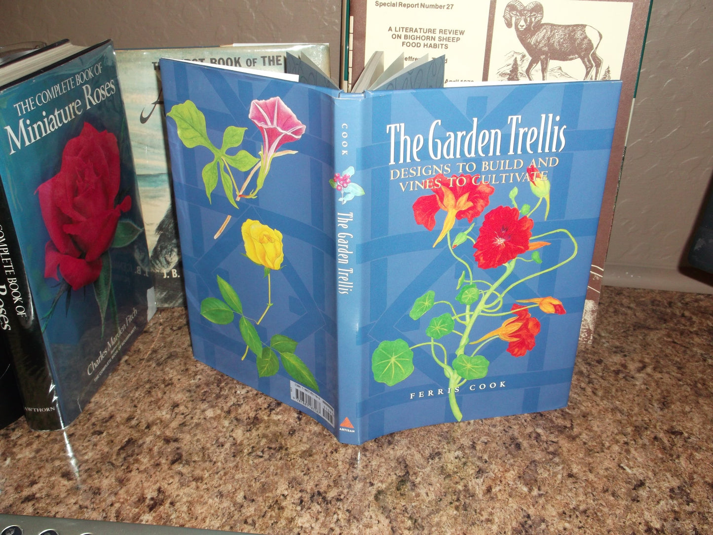 Garden Trellis: Designs to Build and Vines to Cultivate book cover