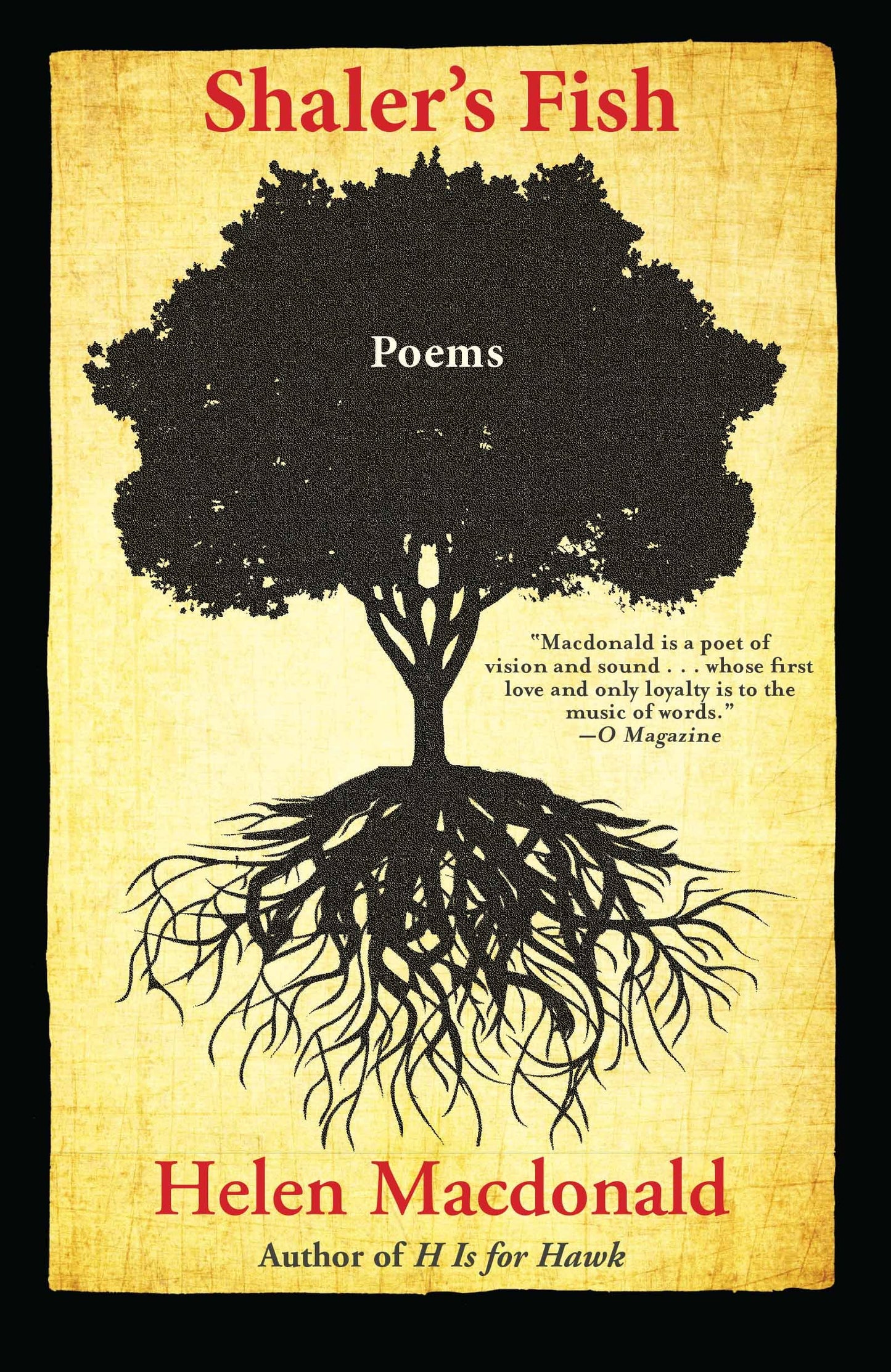 Shaler's Fish book cover