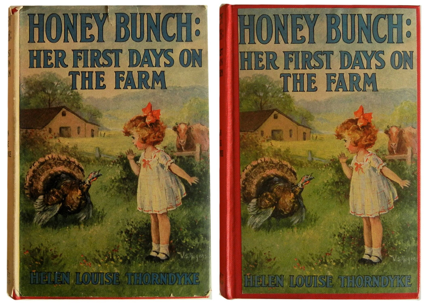 Honey Bunch: Her First Days on the Farm book cover