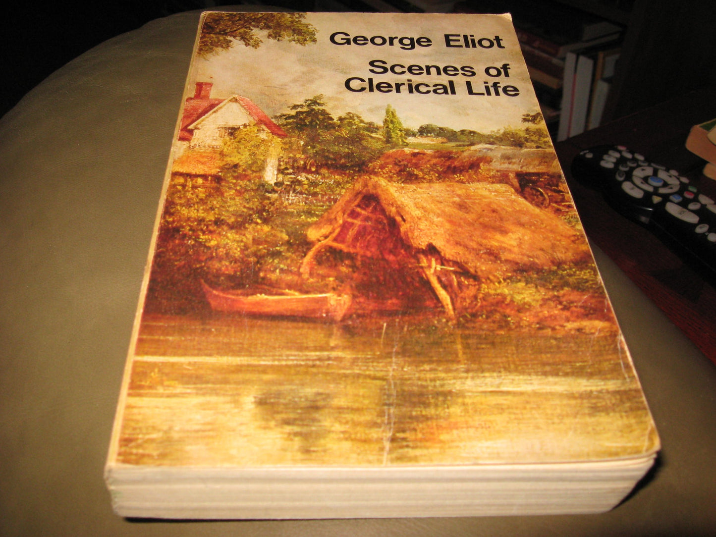 Scenes of Clerical Life book cover