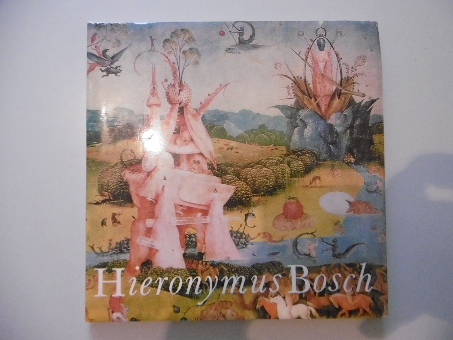 Hieronymus Bosch book cover