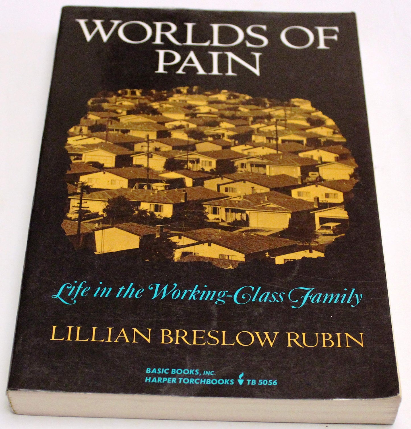 Worlds of Pain: Life in the Working-Class Family book cover