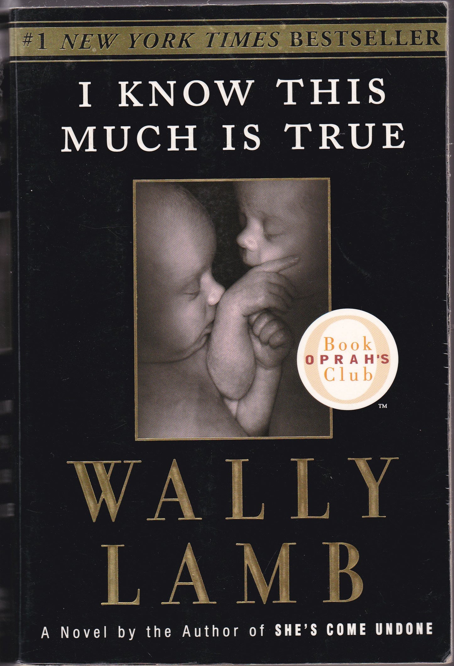 I Know This Much Is True book cover