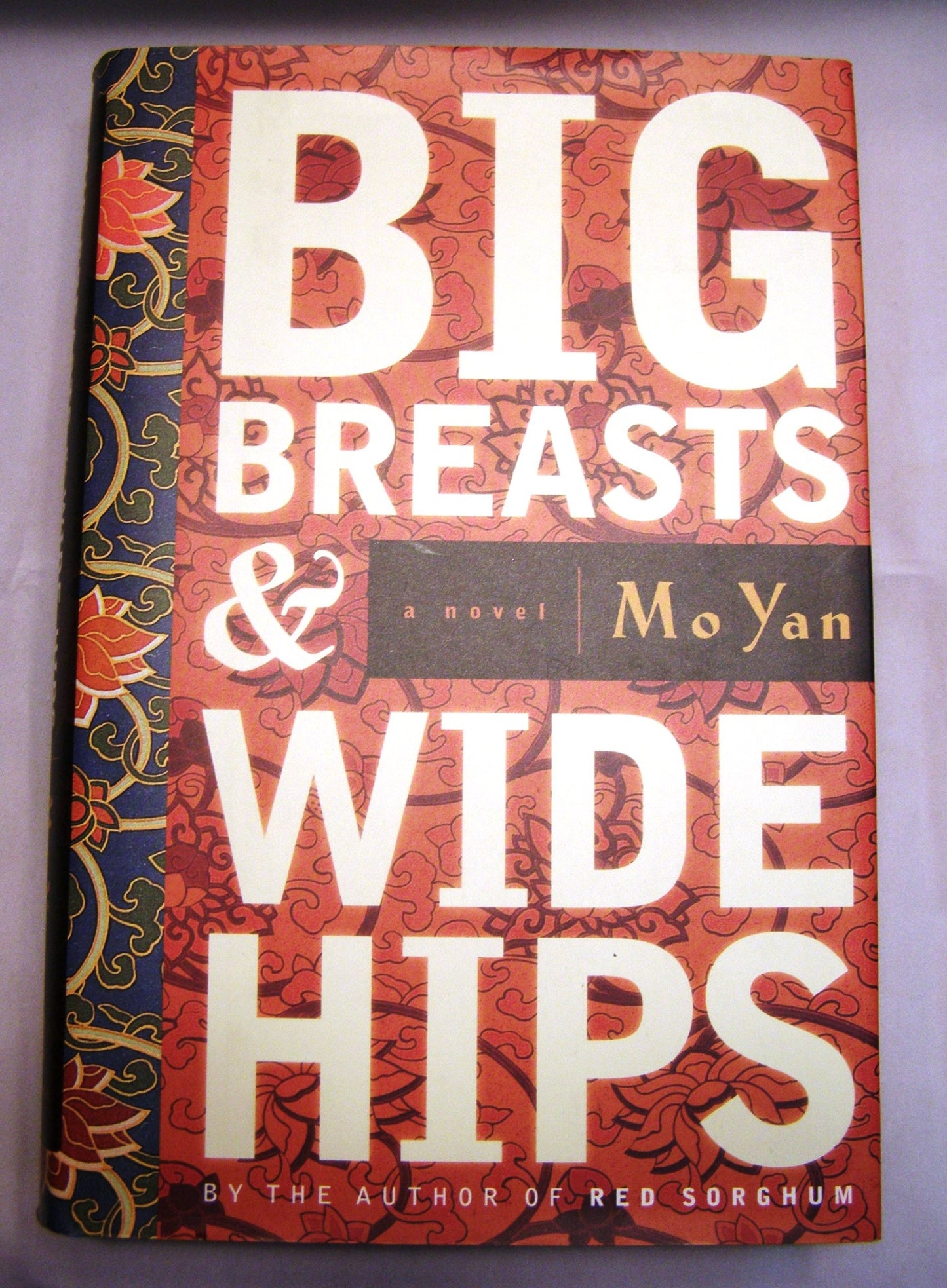 Big Breasts & Wide Hips book cover