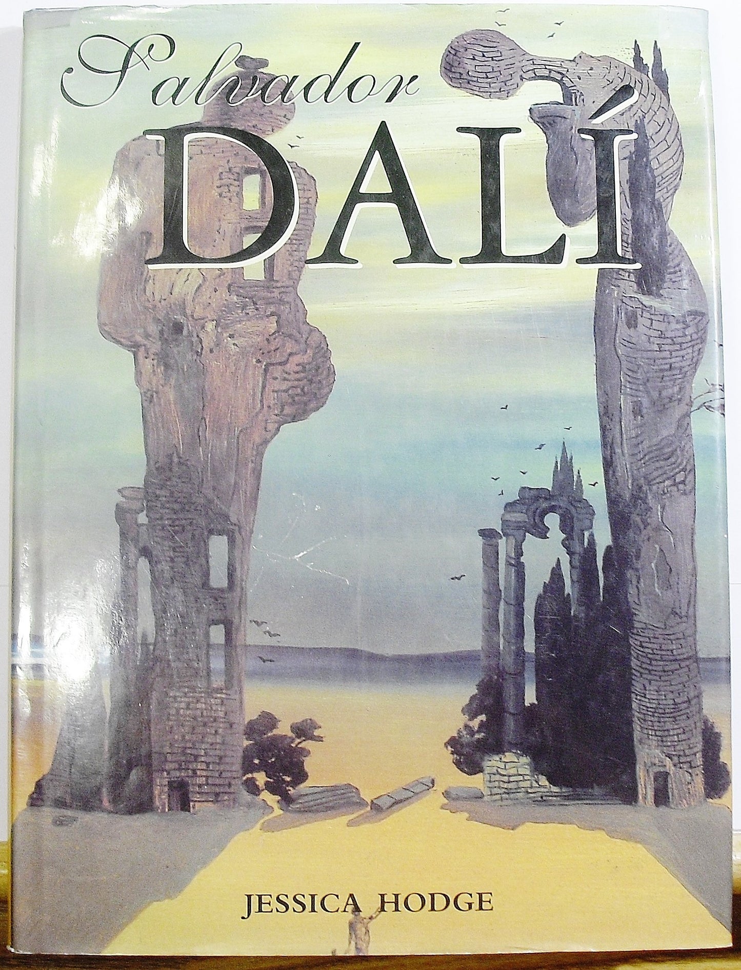 Salvador Dali book cover