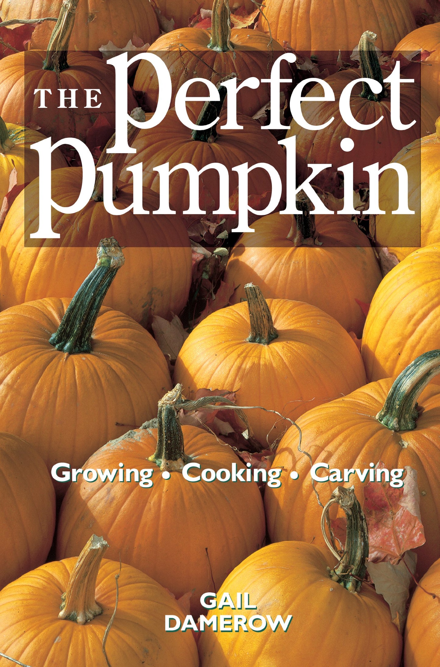 Perfect Pumpkin: Growing/Cooking/Carving book cover