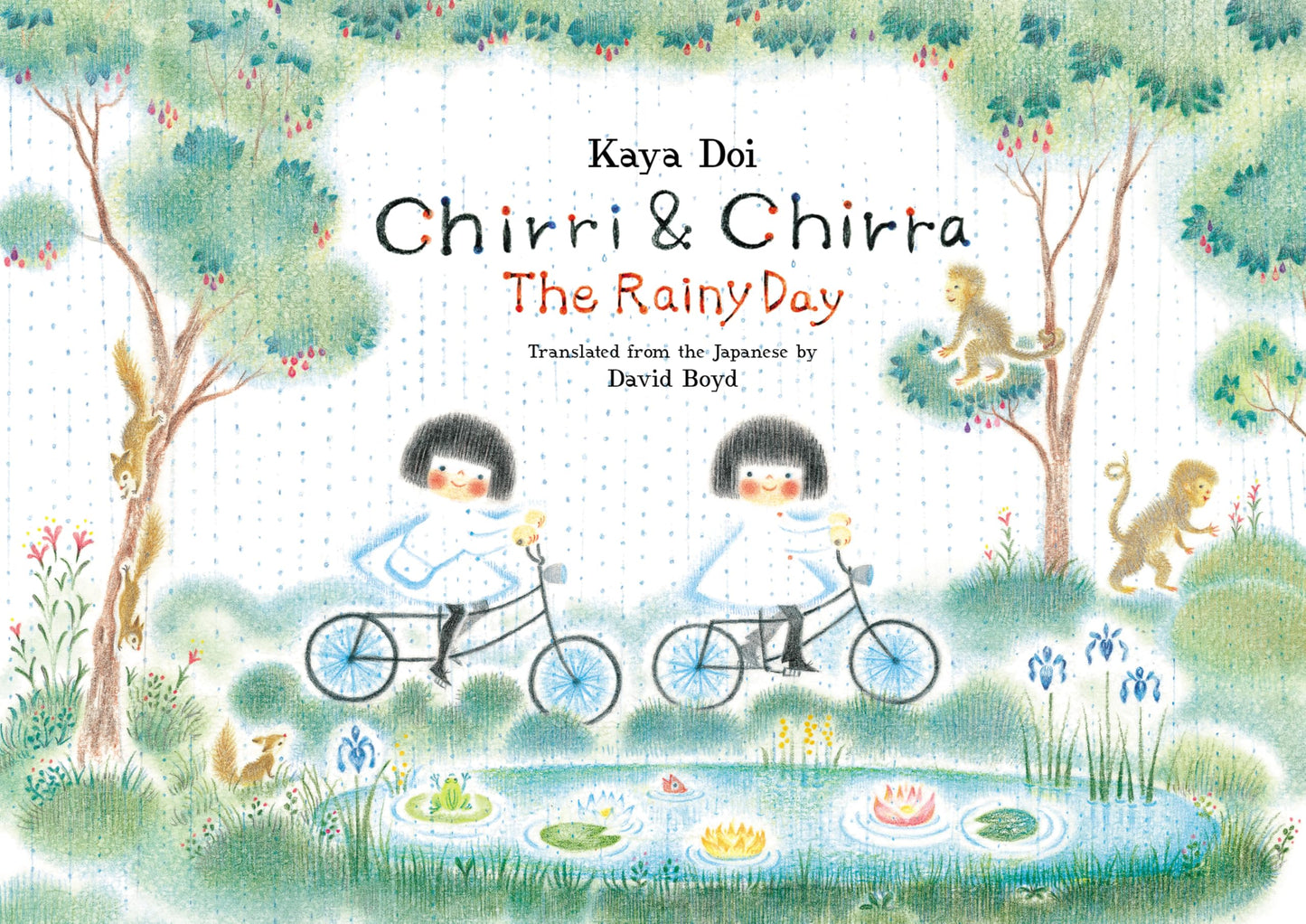 Chirri & Chirra: The Rainy Day book cover