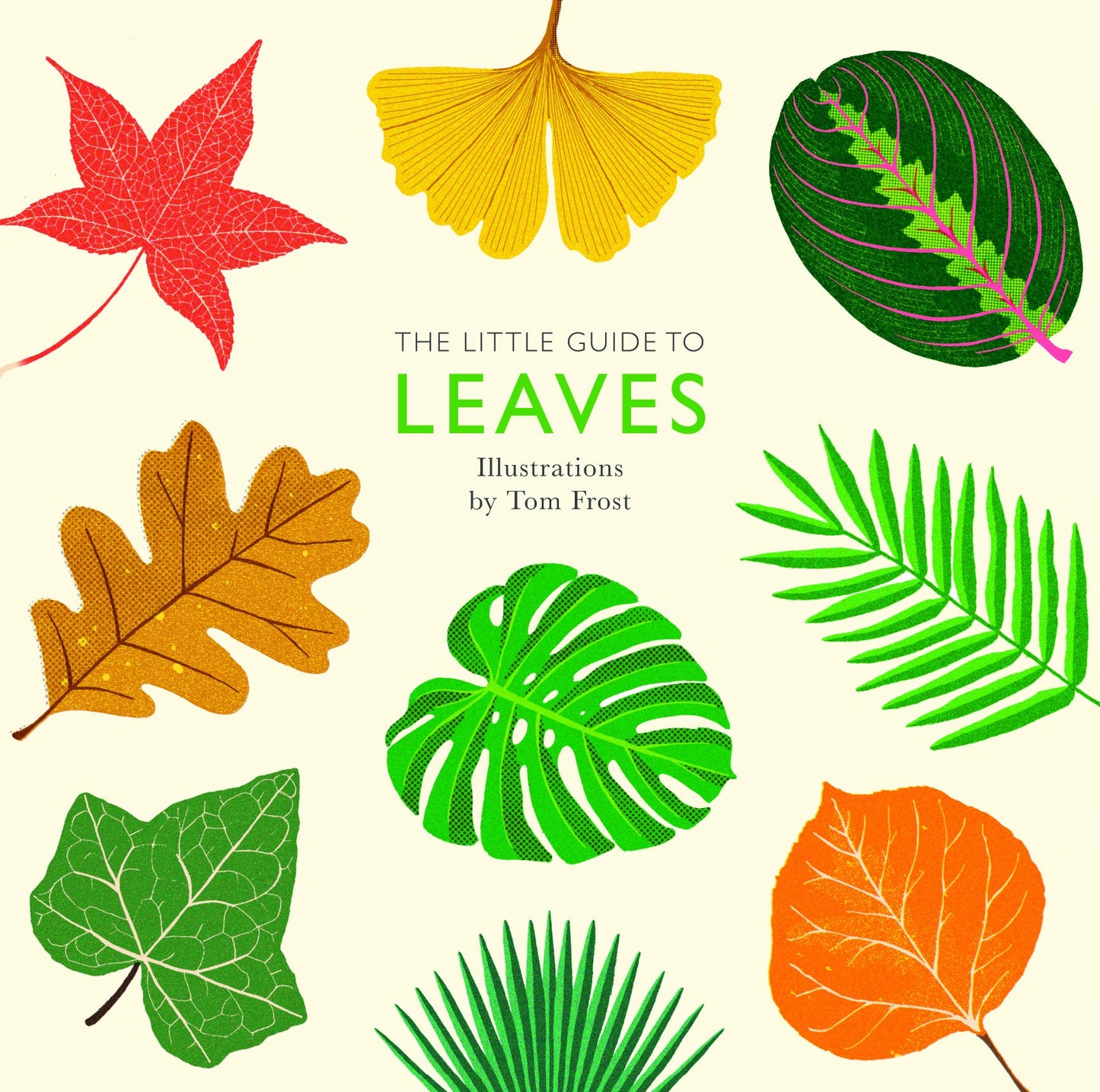 Little Guide to Leaves book cover