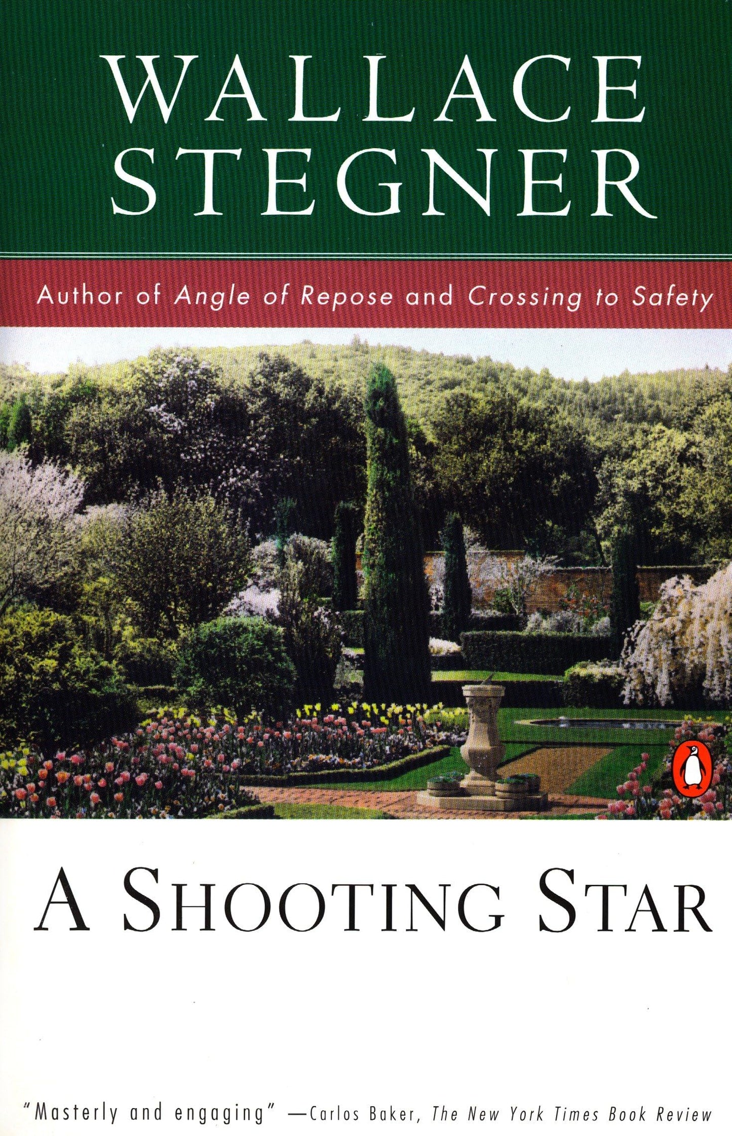 Shooting Star book cover
