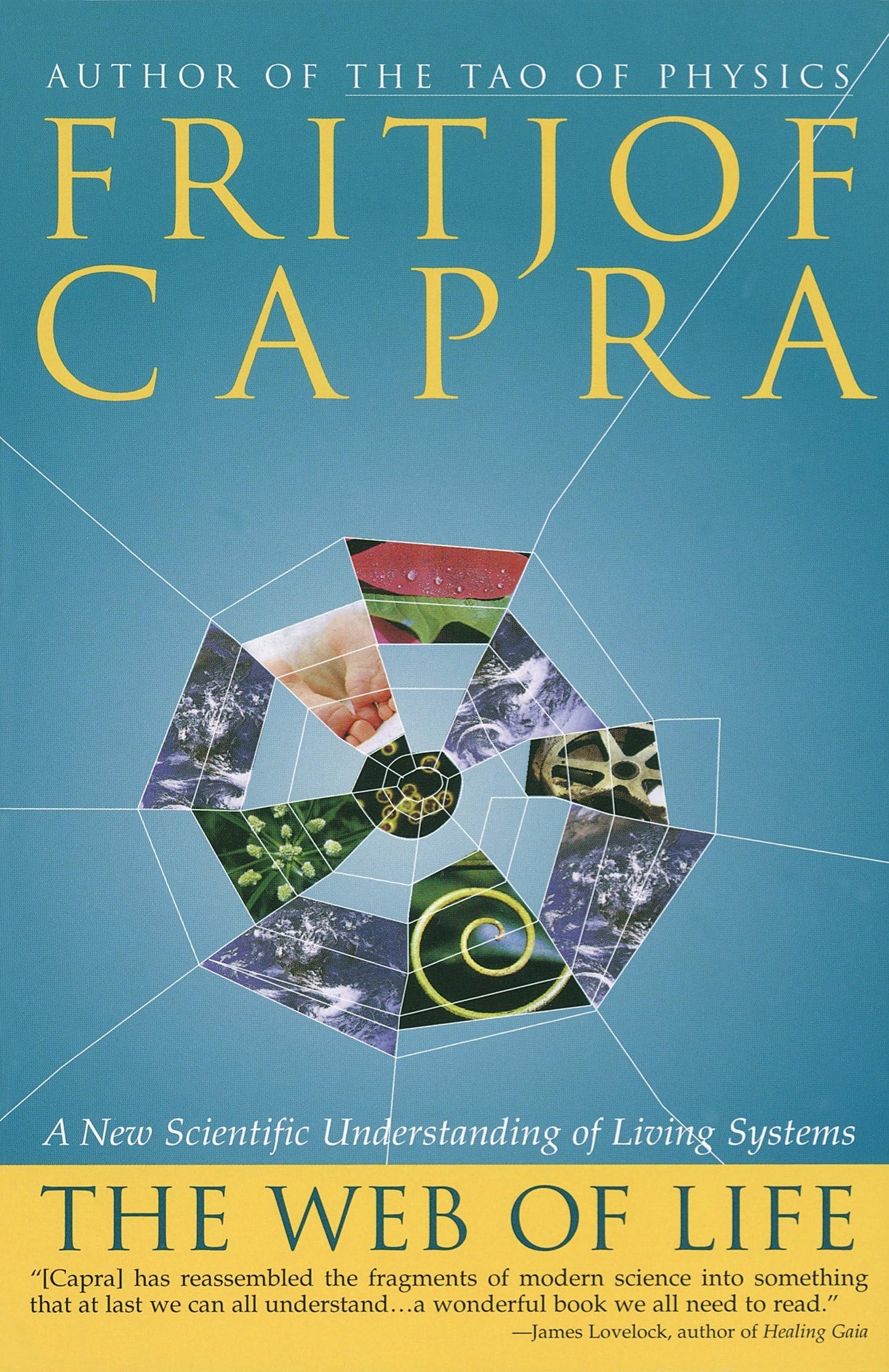 Web of Life: A New Scientific Understanding of Living Systems book cover