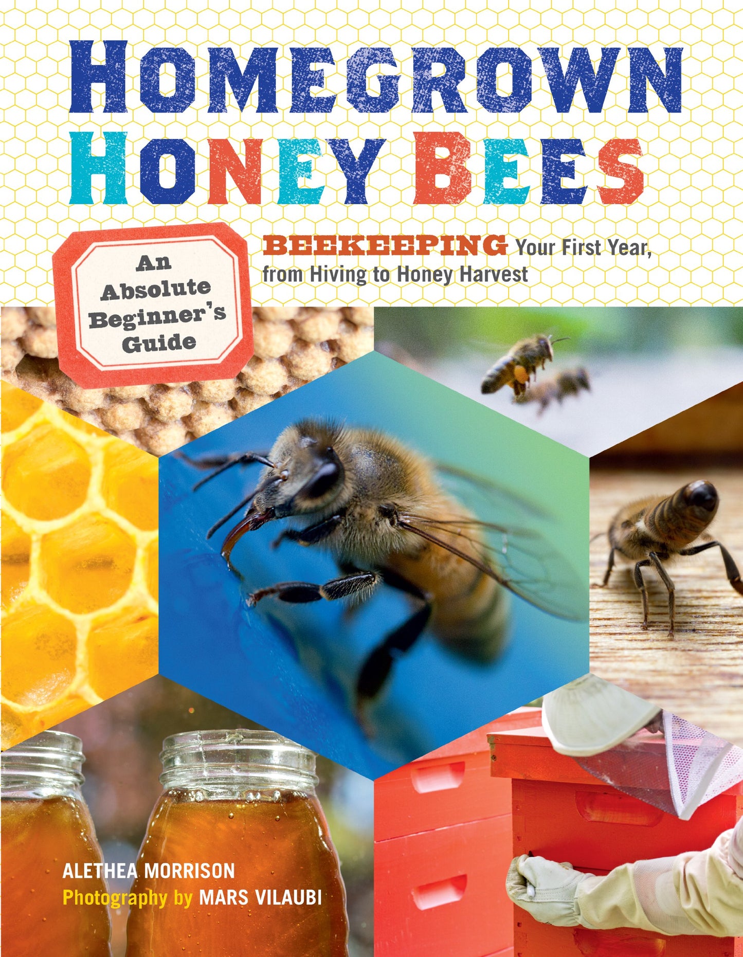 Homegrown Honey Bees: An Absolute Beginner's Guide to Beekeeping Your First Year, from Hiving to Honey Harvest book cover