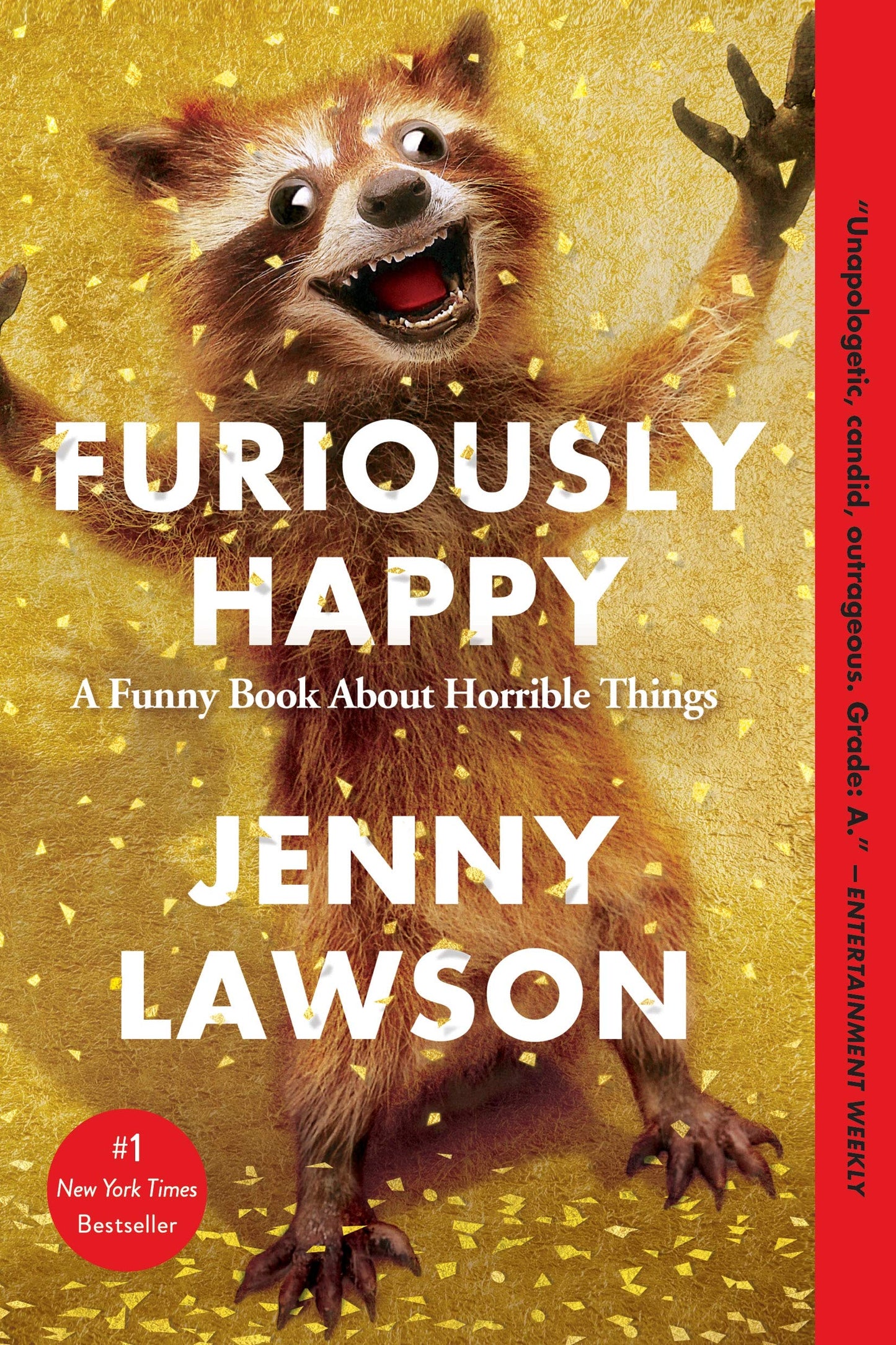 Furiously Happy: A Funny Book about Horrible Things book cover
