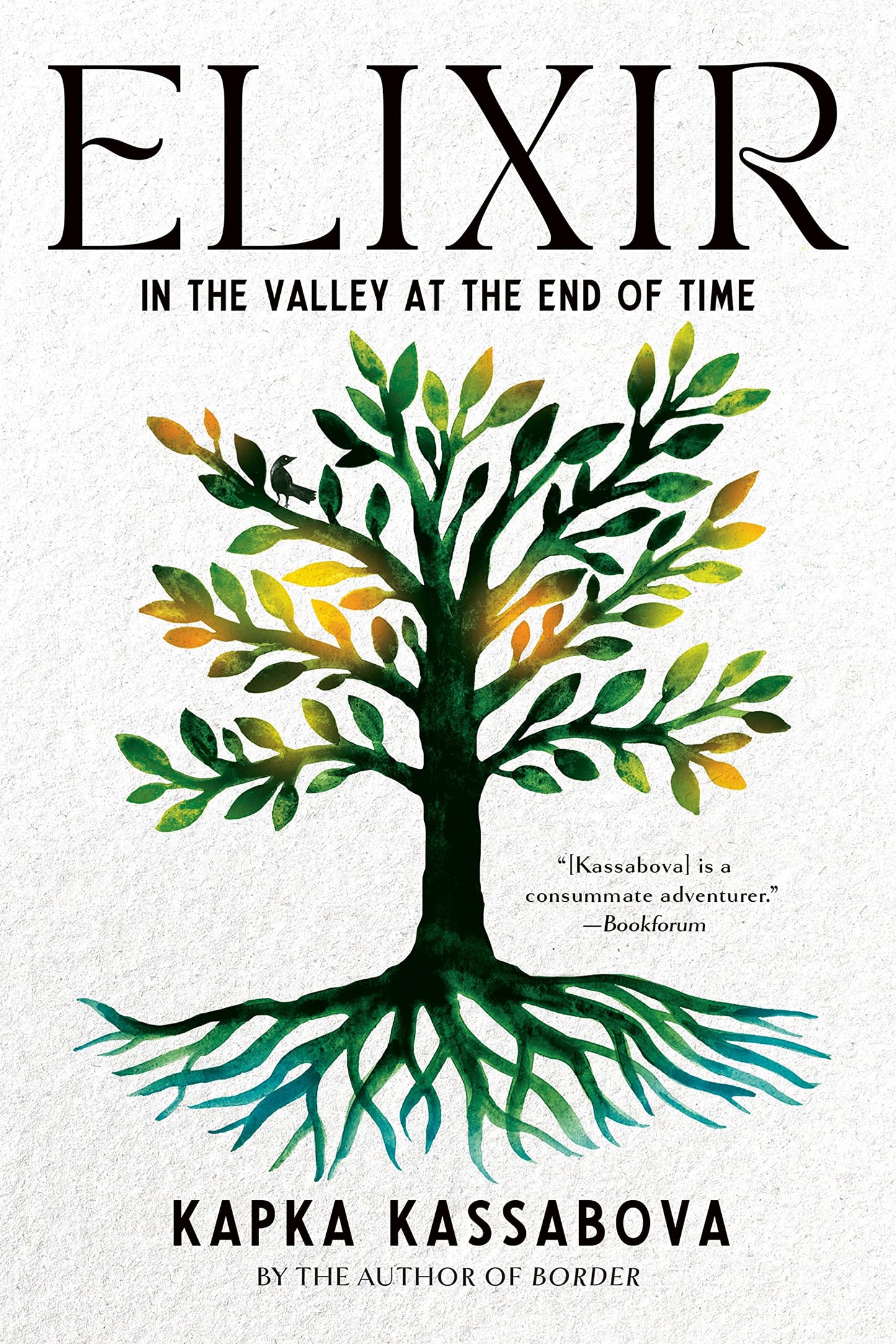 Elixir: In the Valley at the End of Time book cover