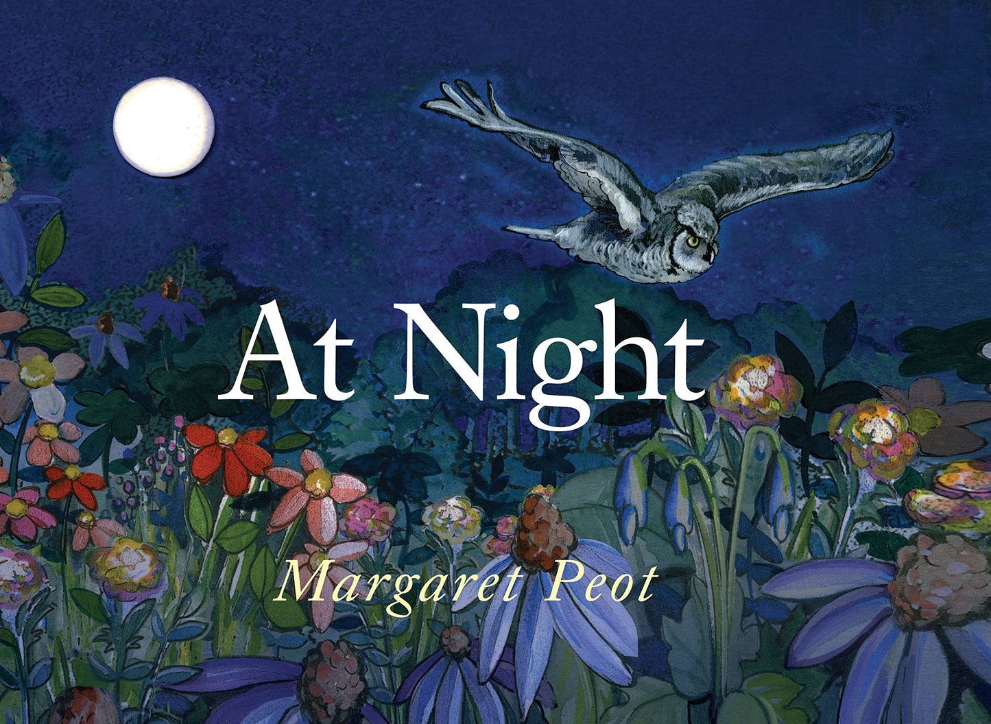 At Night book cover