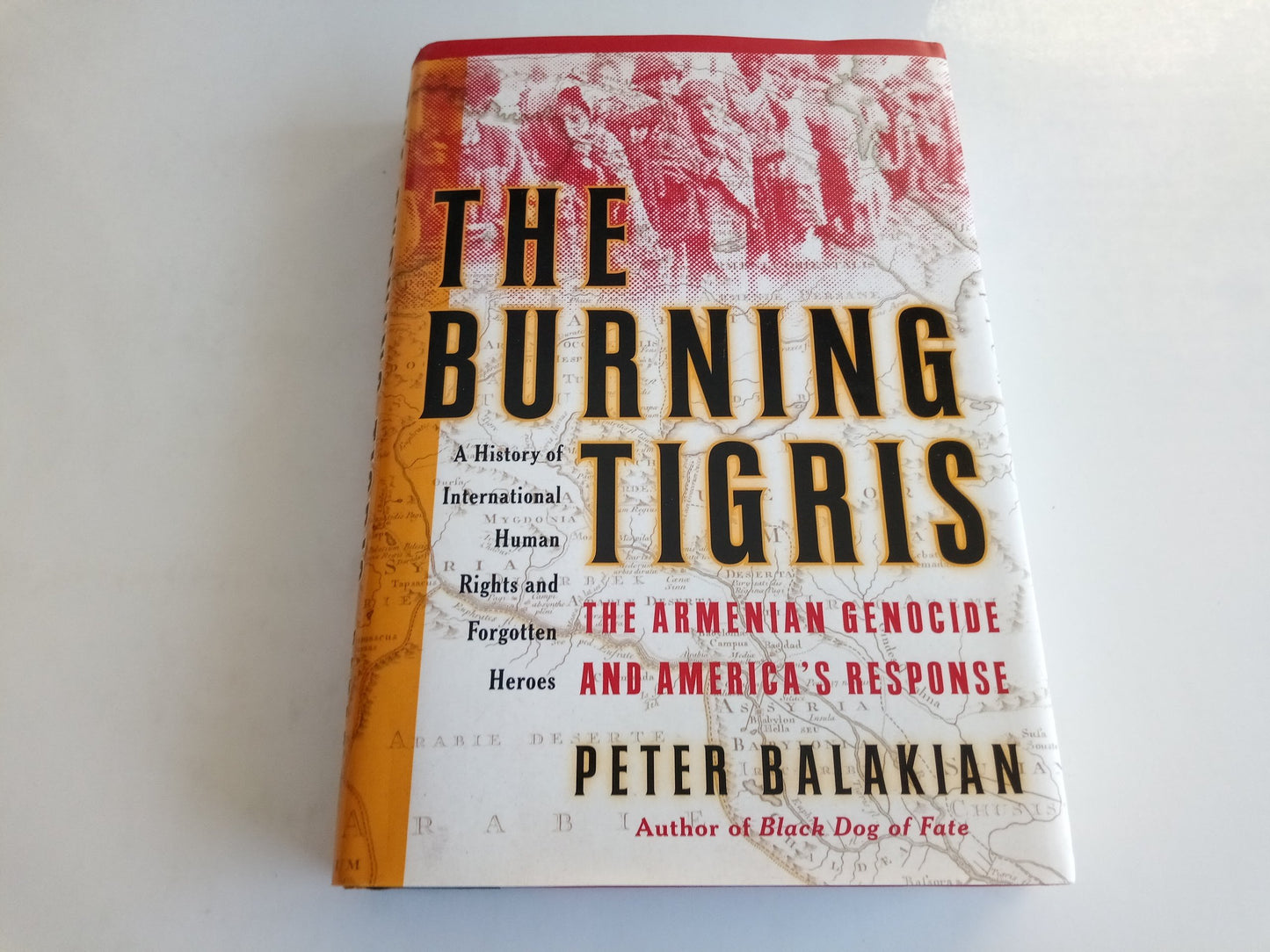 Burning Tigris: The Armenian Genocide and America's Response book cover