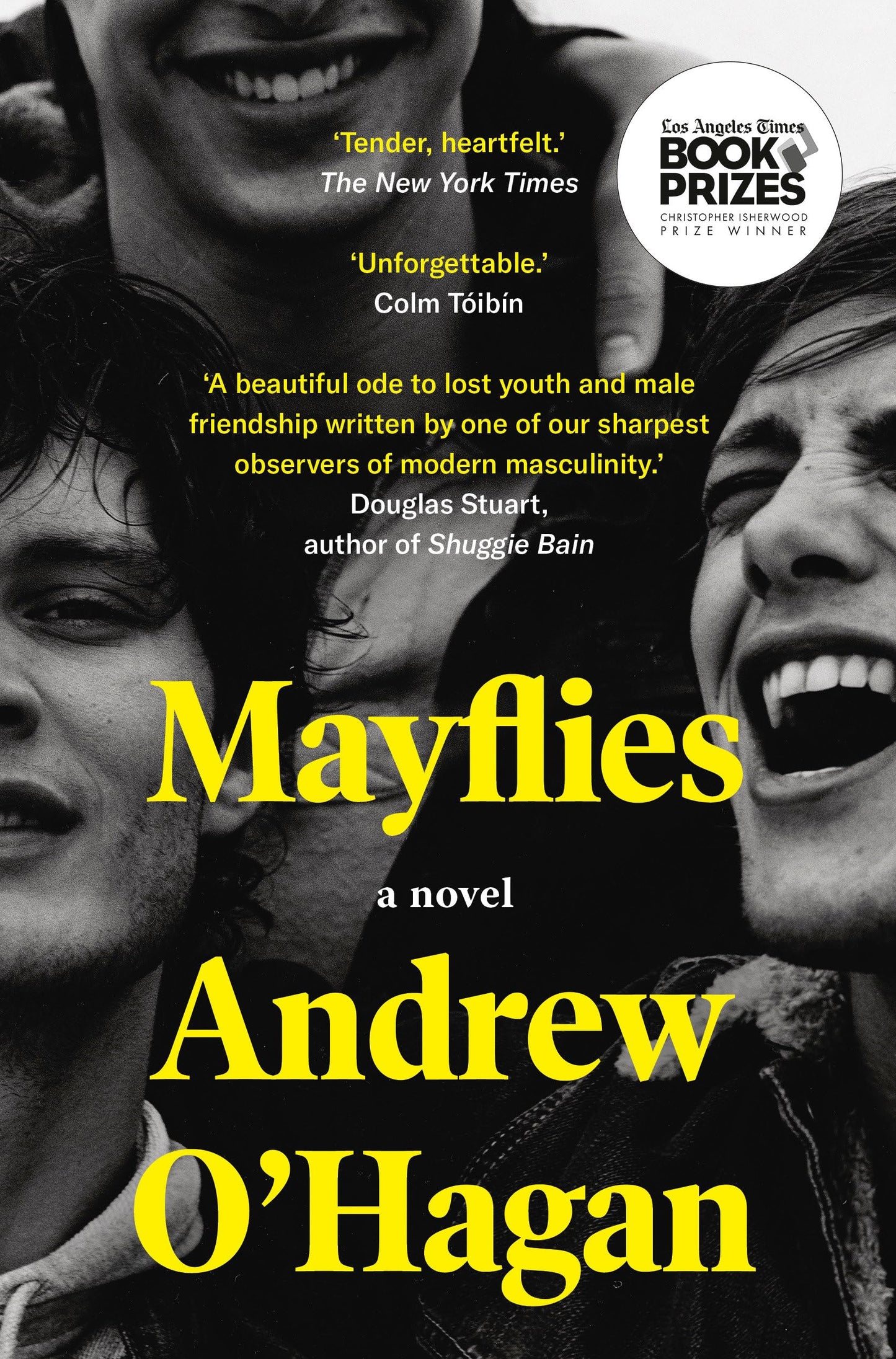 Mayflies book cover