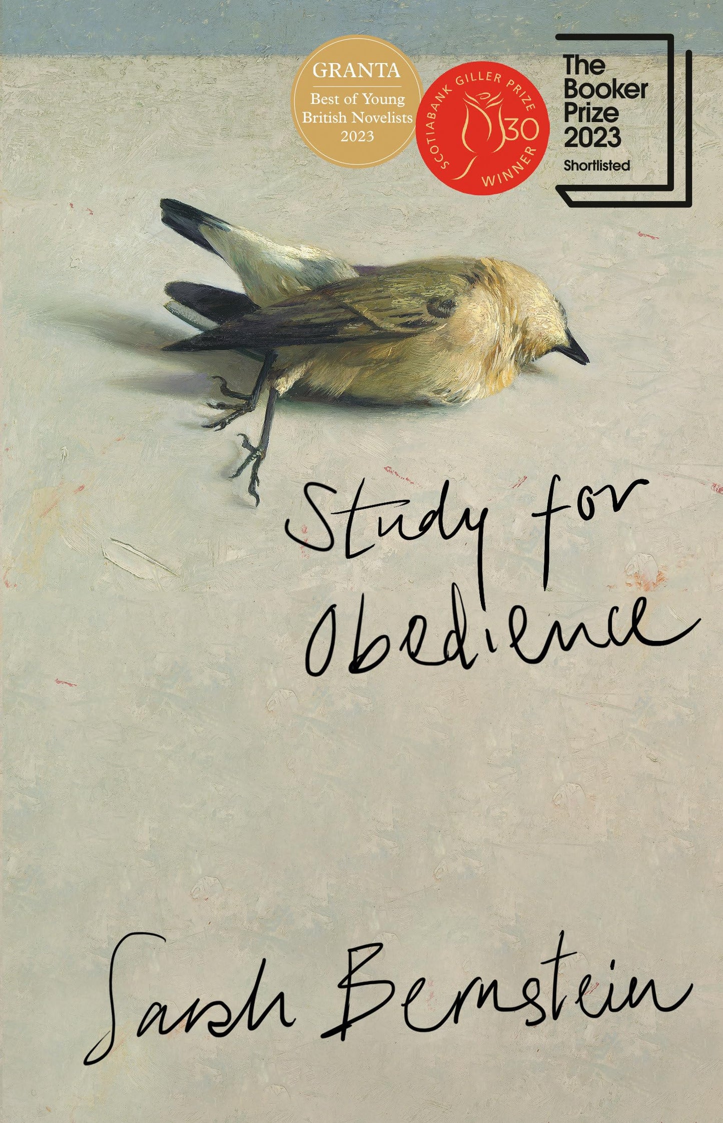 Study for Obedience book cover