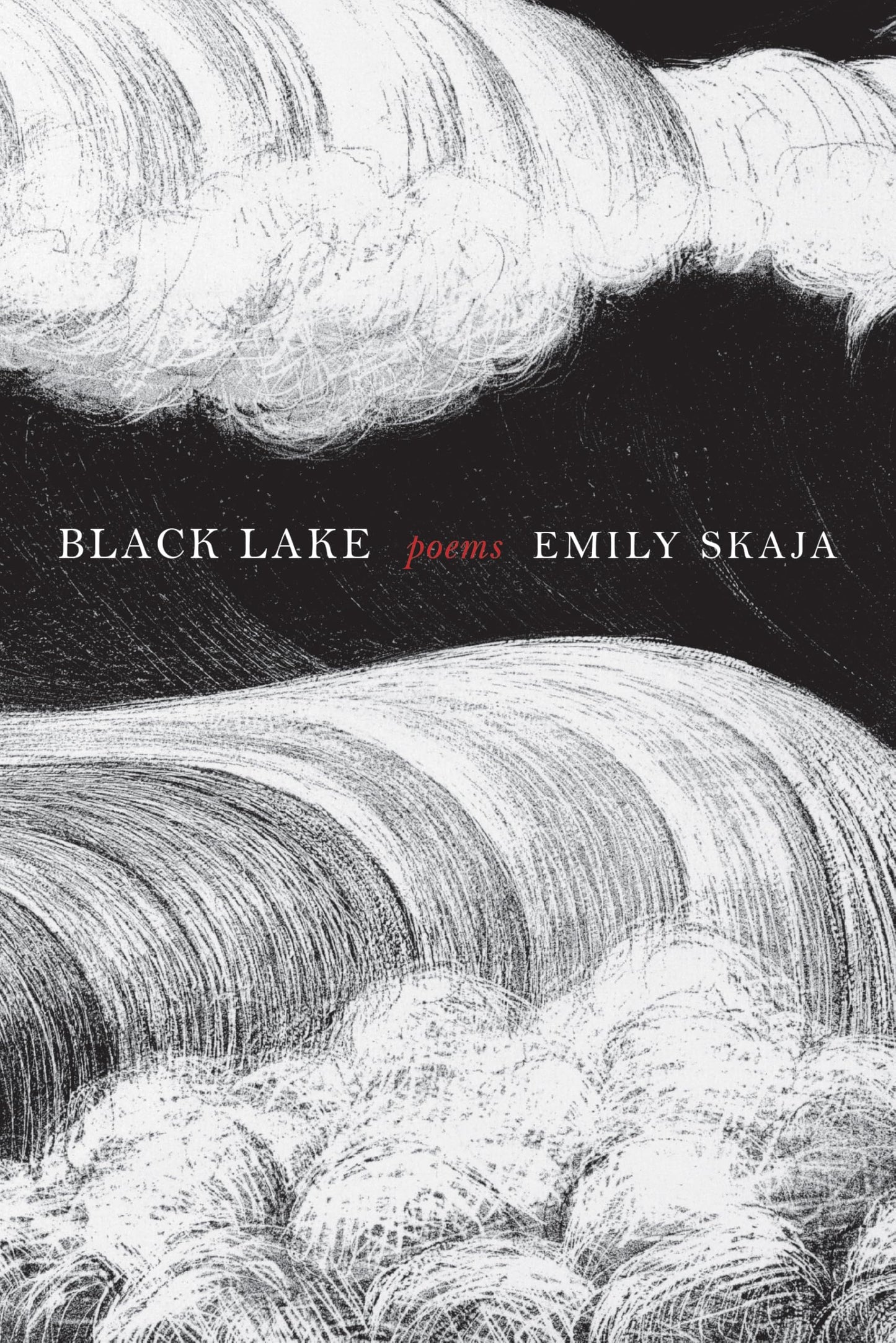 Black Lake book cover