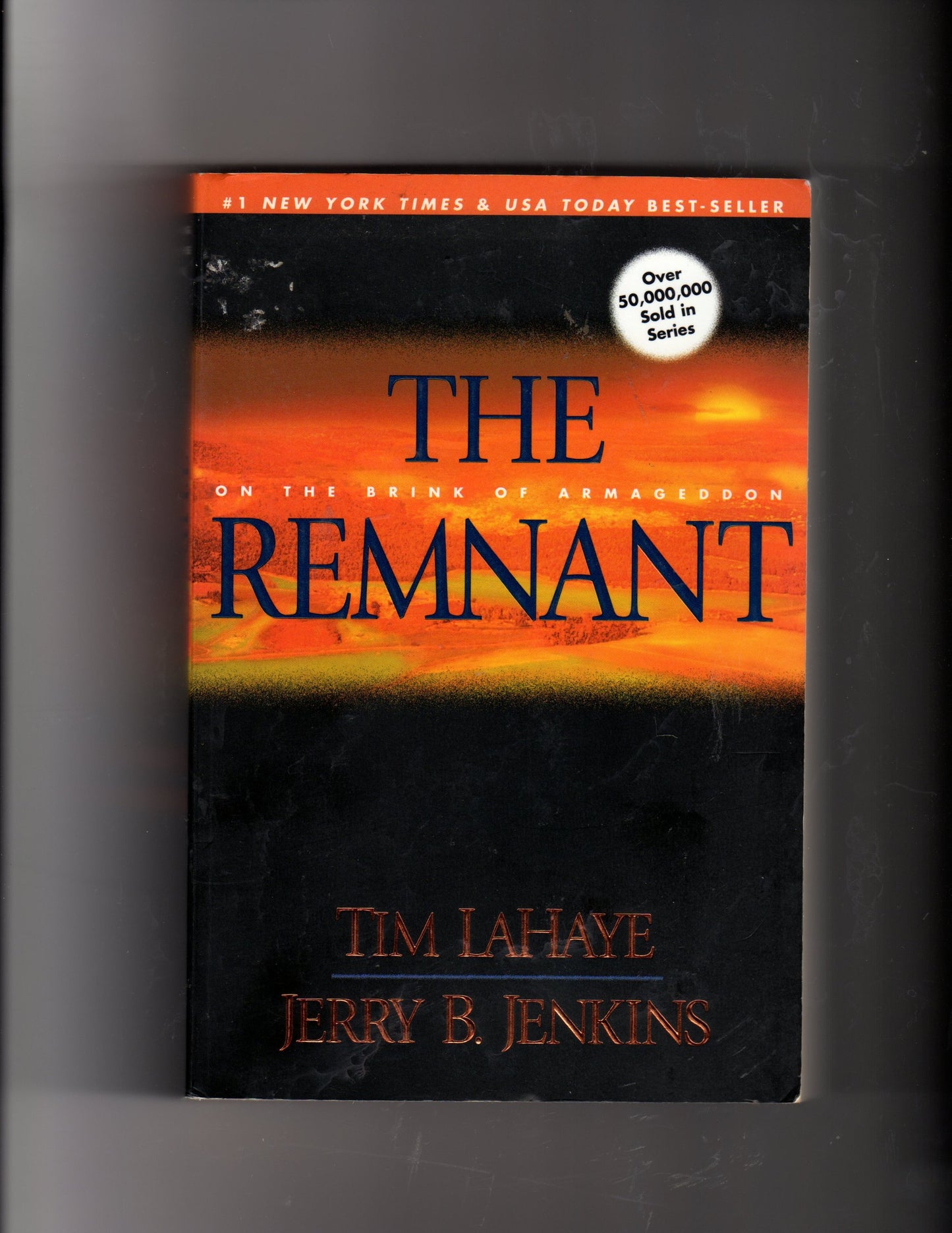 Remnant: On the Brink of Armageddon book cover