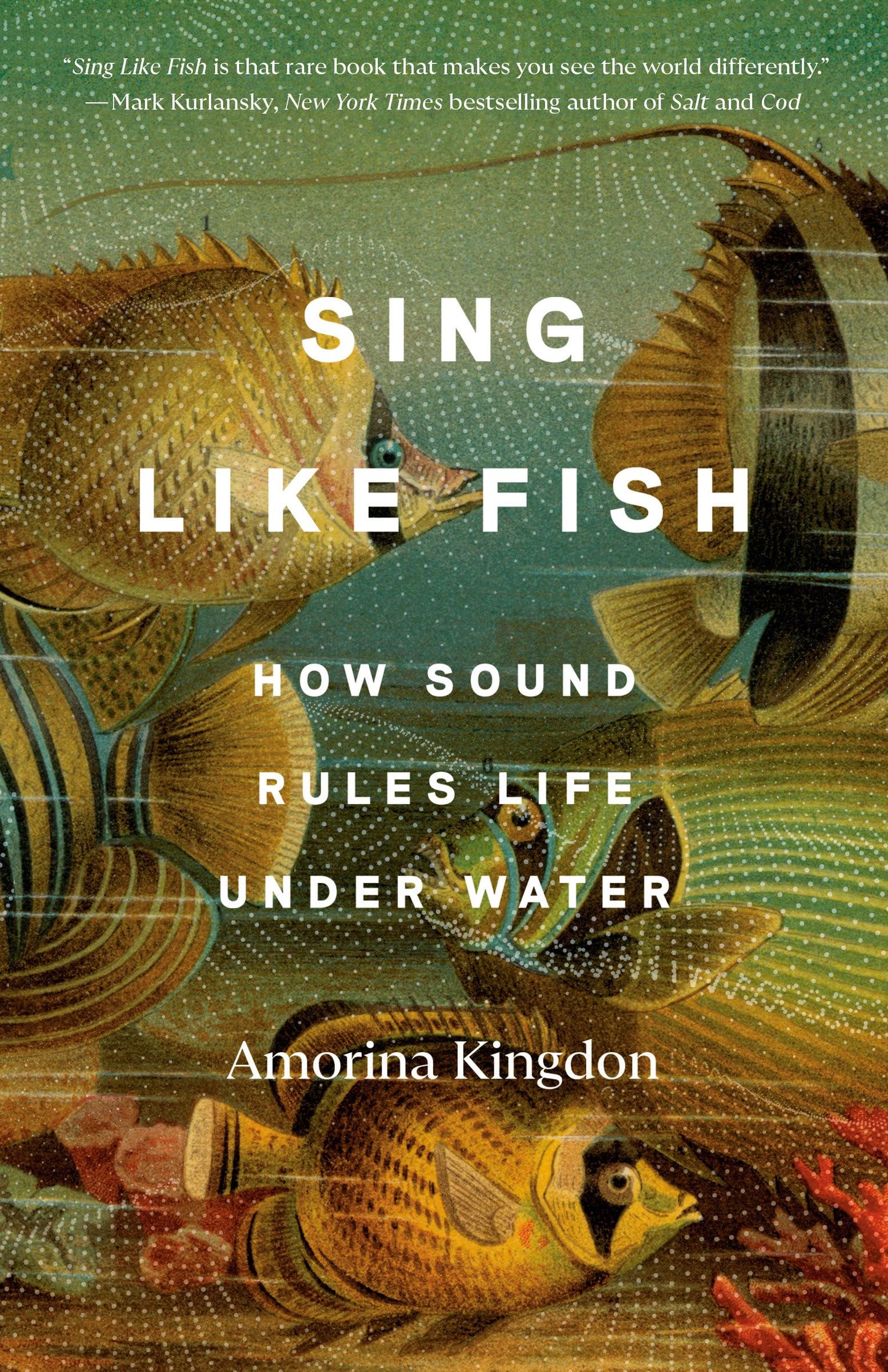 Sing Like Fish book cover