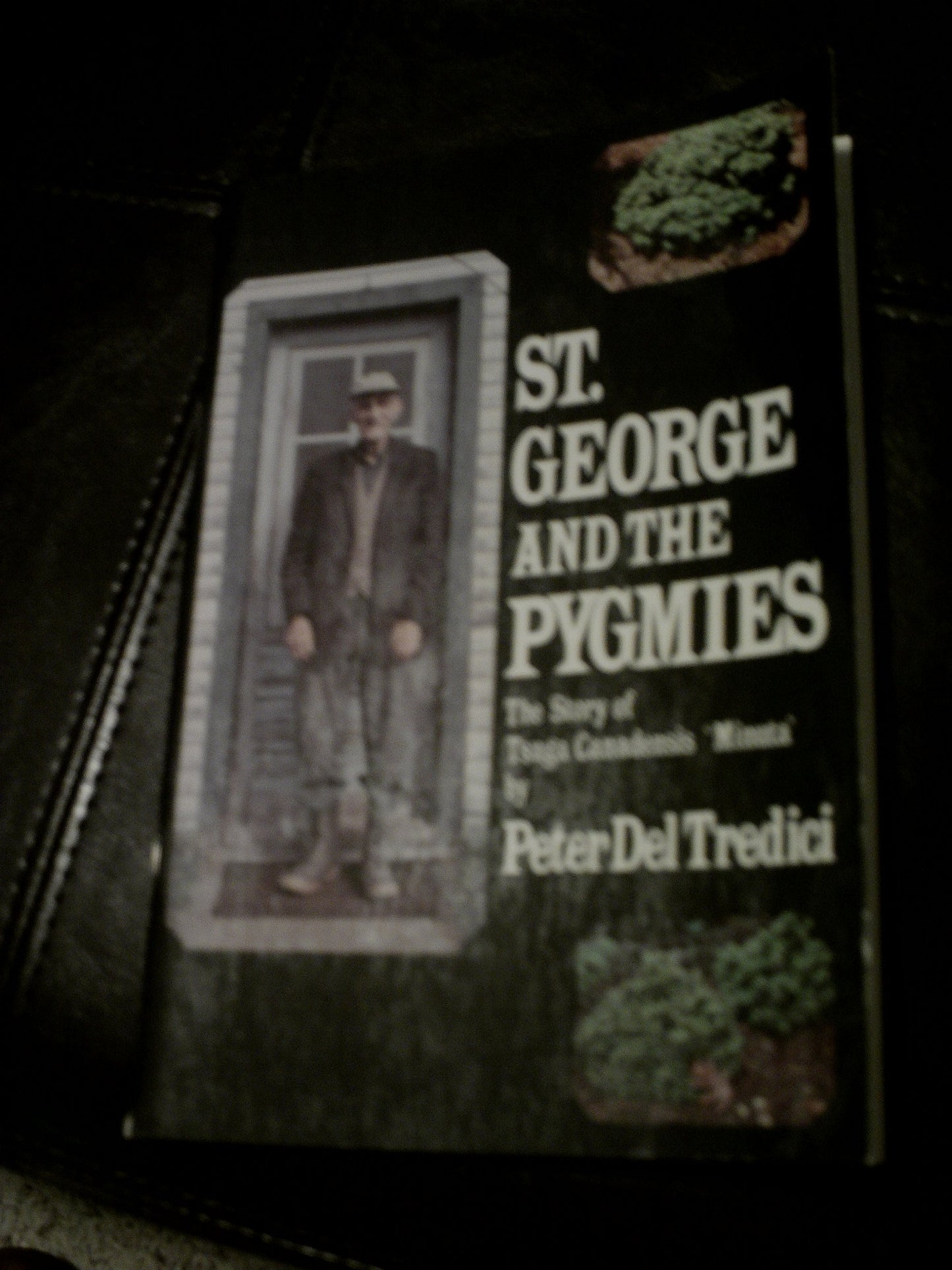 St. George and the Pygmies: The Story of Tsuga Canadensis 'Minuta' book cover